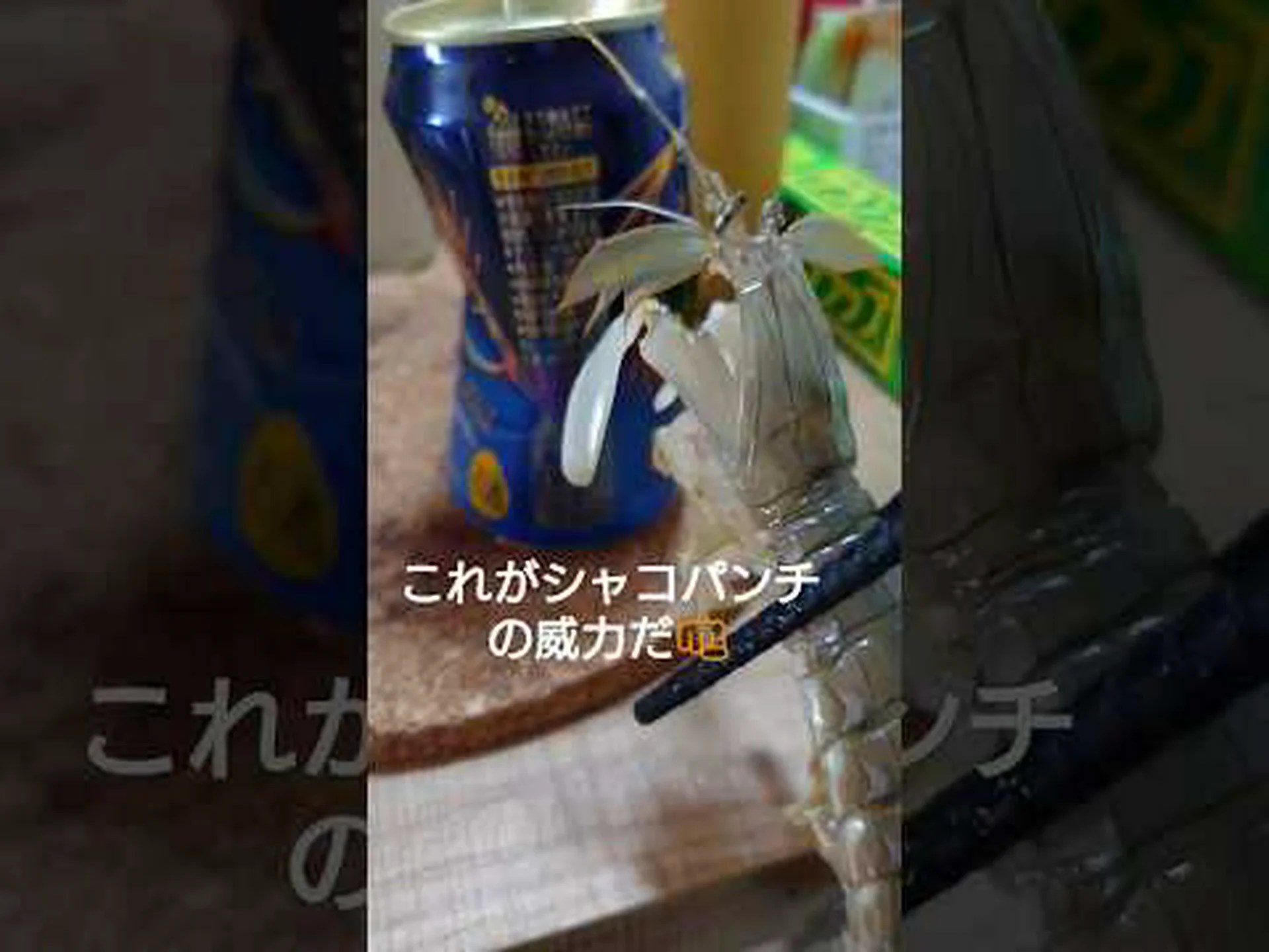 タツノオトシゴ狩りのトリックが明らかに タツノオトシゴ狩りのトリックが明らかに