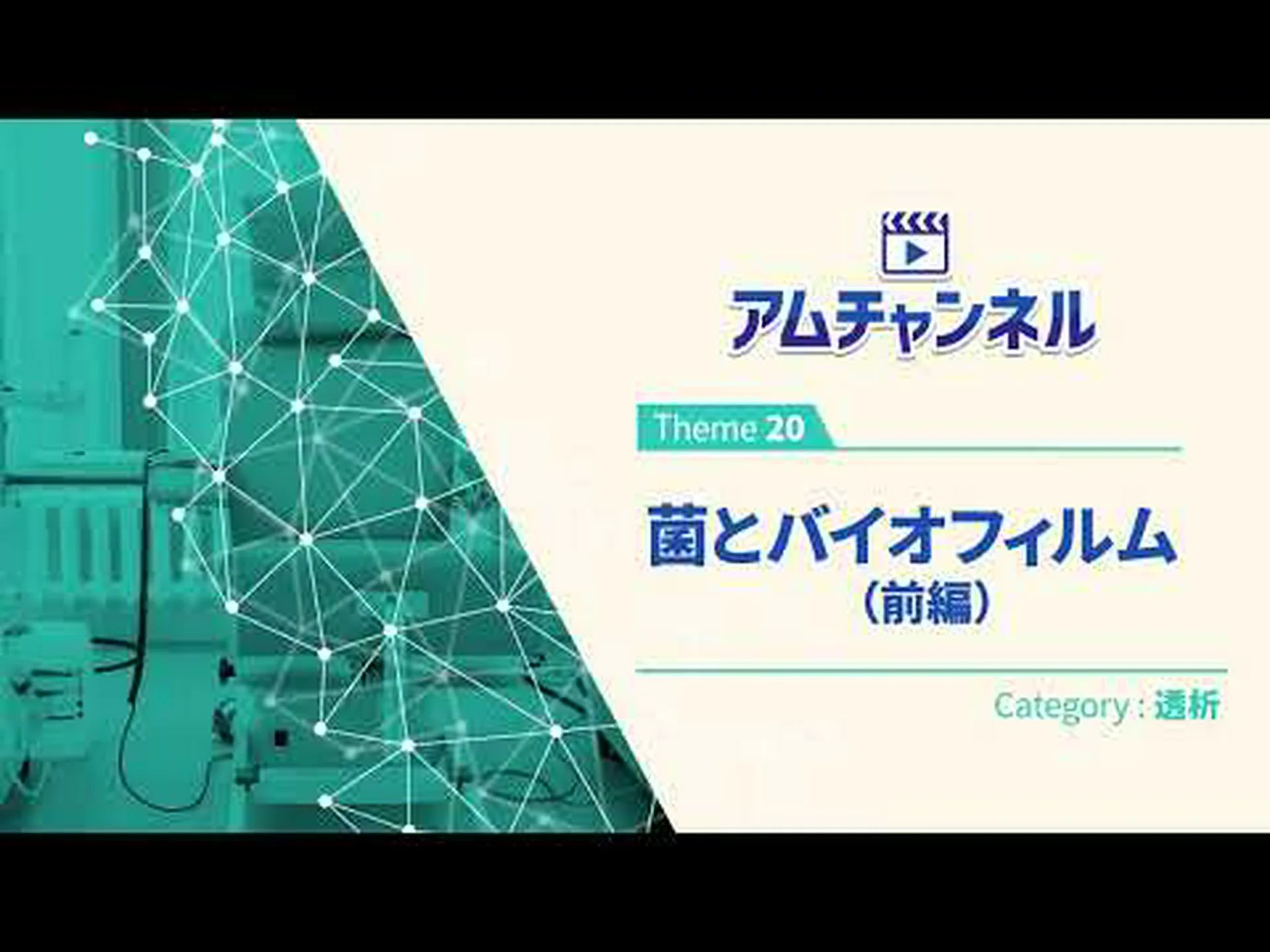 テフロンバイオフィルム テフロンバイオフィルム