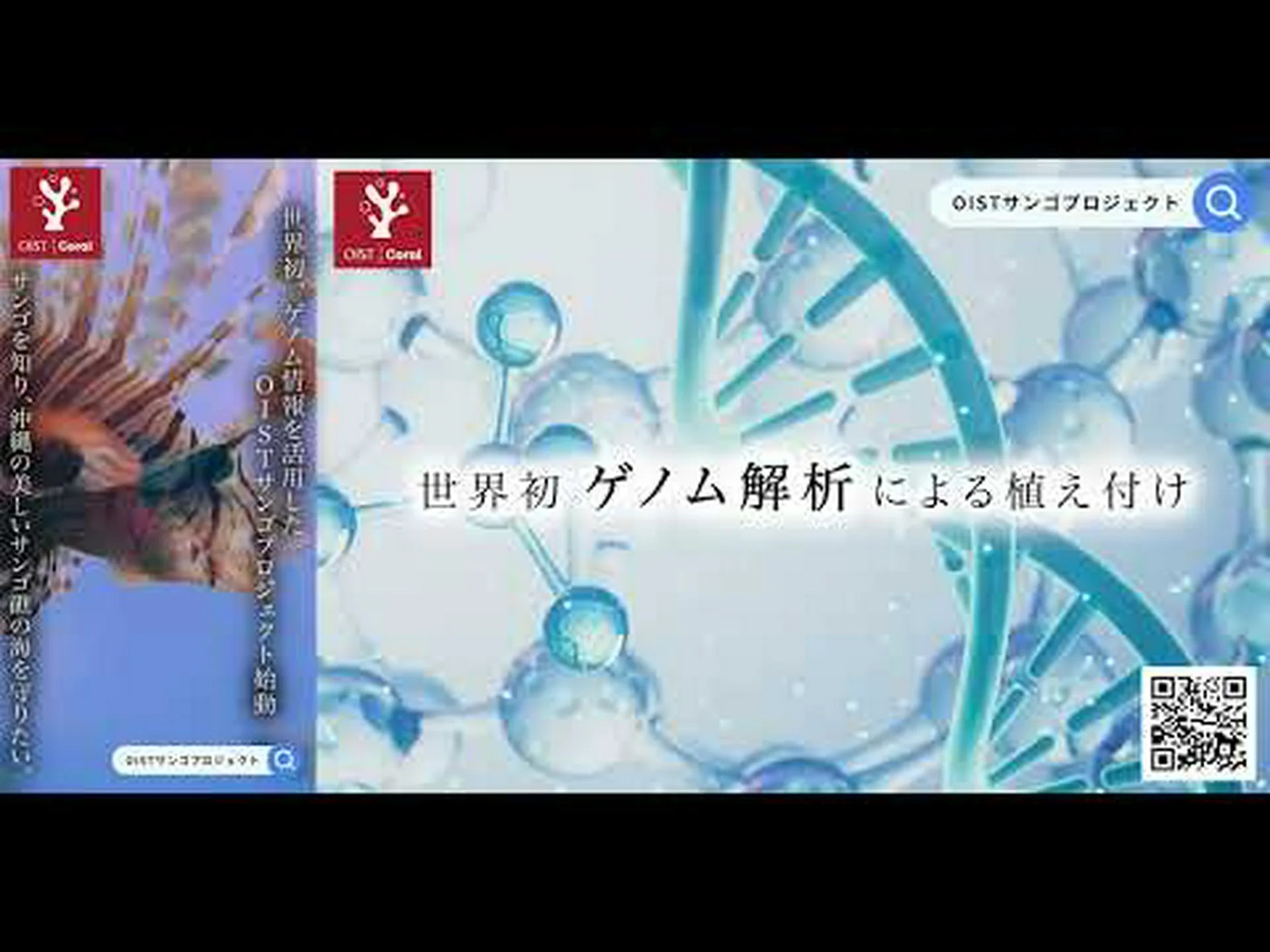 サンゴキラーのゲノムを調べた サンゴキラーのゲノムを調べた
