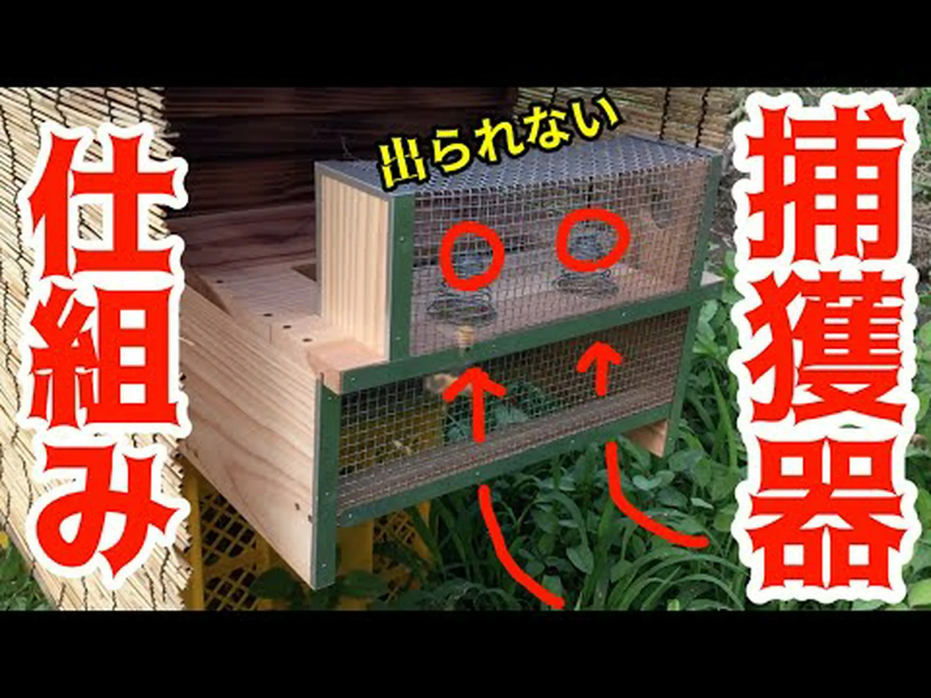 すべての蜂の巣にあるクリスタル: スズメバチは磁性鉱物を水準器として使用しますか? すべての蜂の巣にあるクリスタル: スズメバチは磁性鉱物を水準器として使用しますか?
