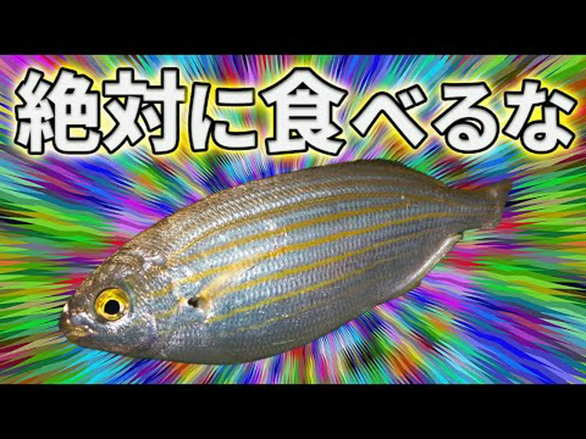 サンゴ礁の海綿動物はメタンバクテリアを食べる サンゴ礁の海綿動物はメタンバクテリアを食べる