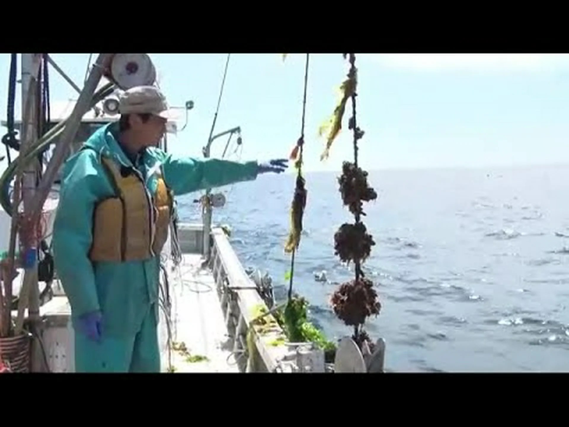 海水温の上昇により雨が多くなる 海水温の上昇により雨が多くなる