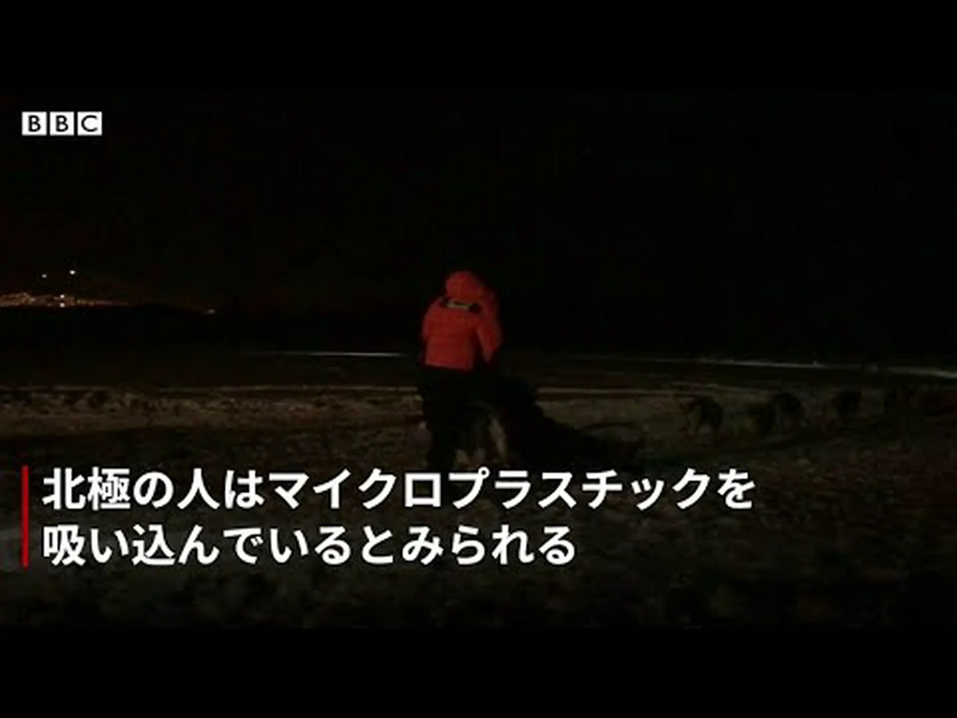 北極:マイクロプラスチックの悲しい記録 北極:マイクロプラスチックの悲しい記録