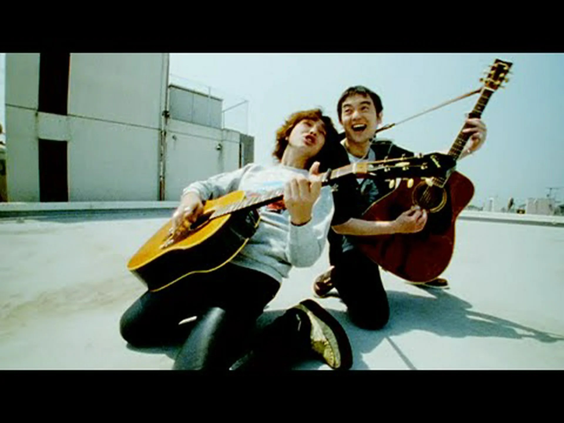 鳥を数える 鳥を数える