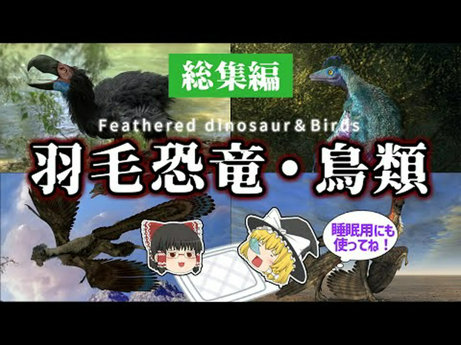 飛行準備ができた脳を持つ羽毛恐竜 飛行準備ができた脳を持つ羽毛恐竜