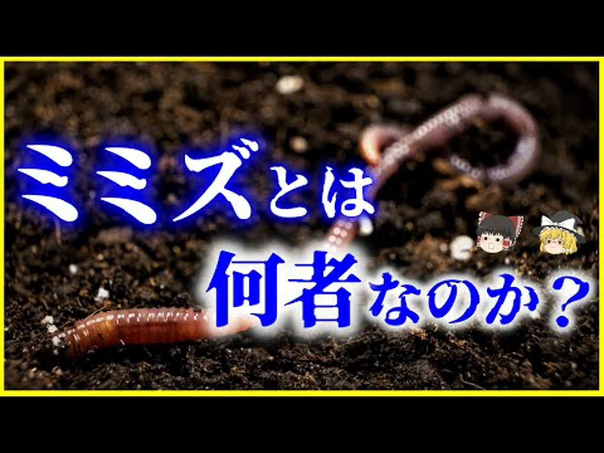 クジラ、ミミズ、そして生物群集について クジラ、ミミズ、そして生物群集について