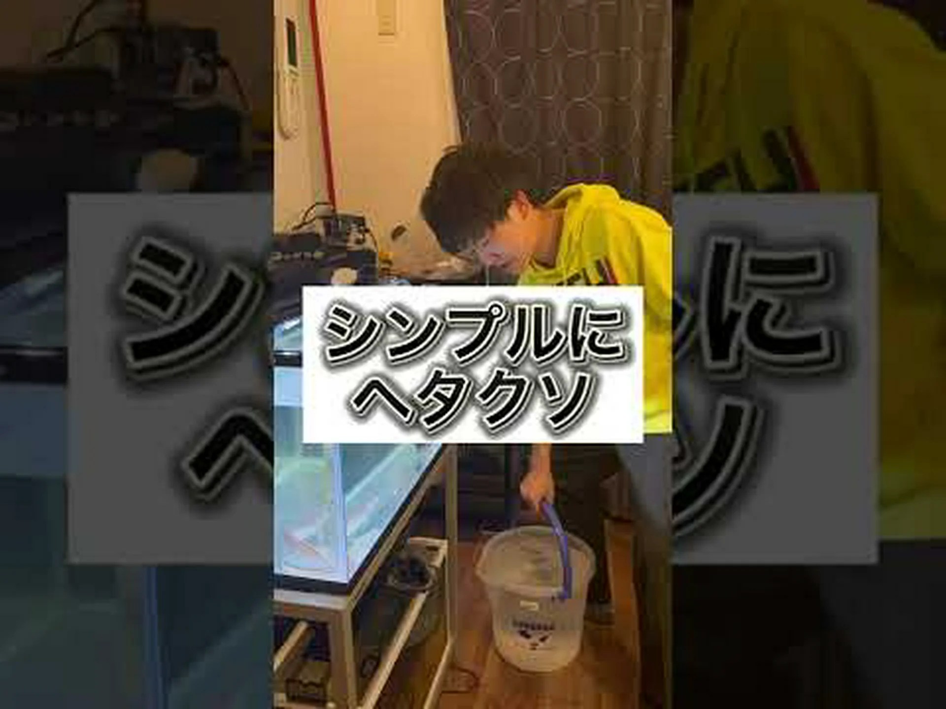 横たわる魚と壁の花 横たわる魚と壁の花