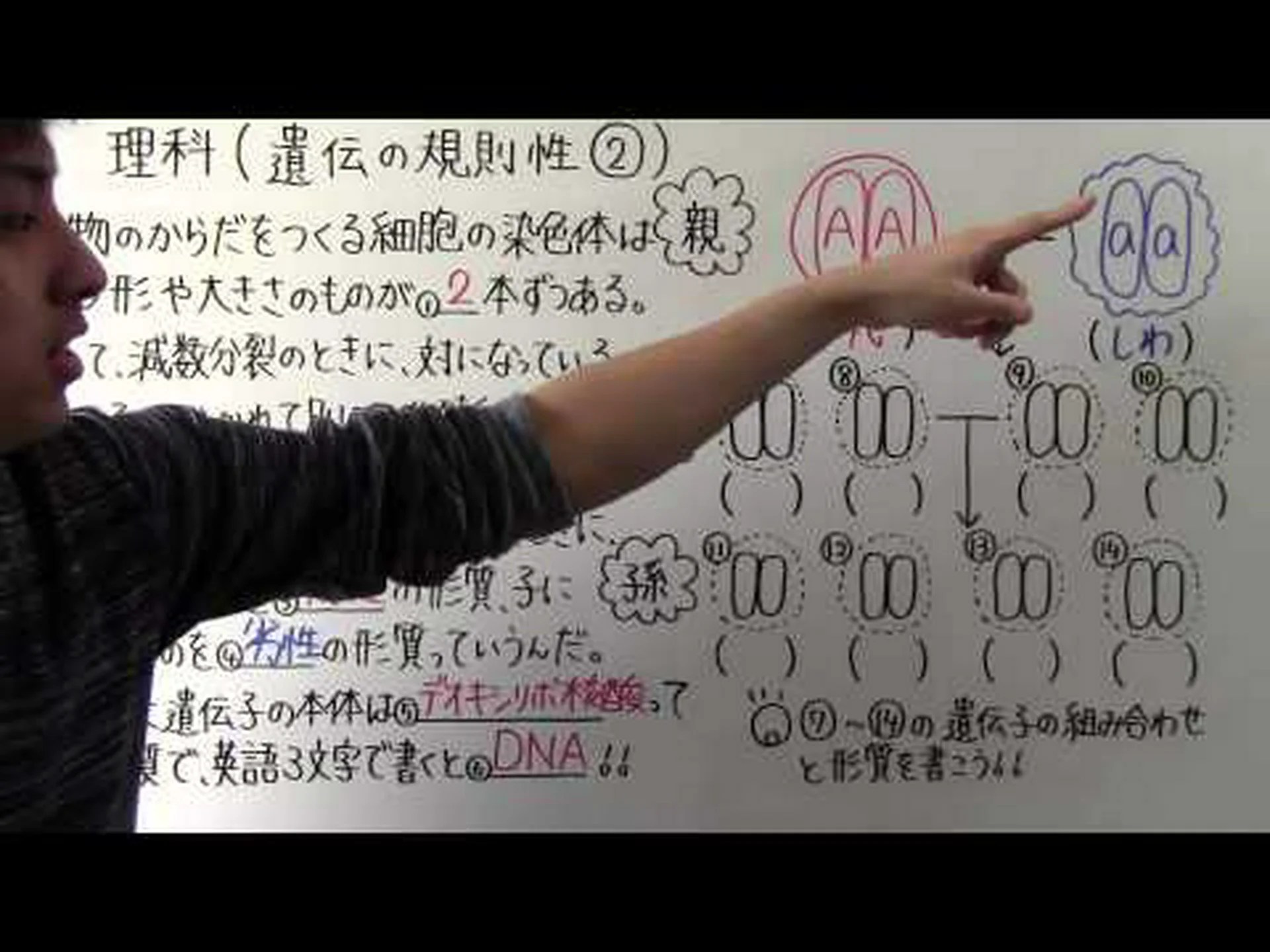 実証済みのものが好ましい: 多くの遺伝子は互いに関連している 実証済みのものが好ましい: 多くの遺伝子は互いに関連している
