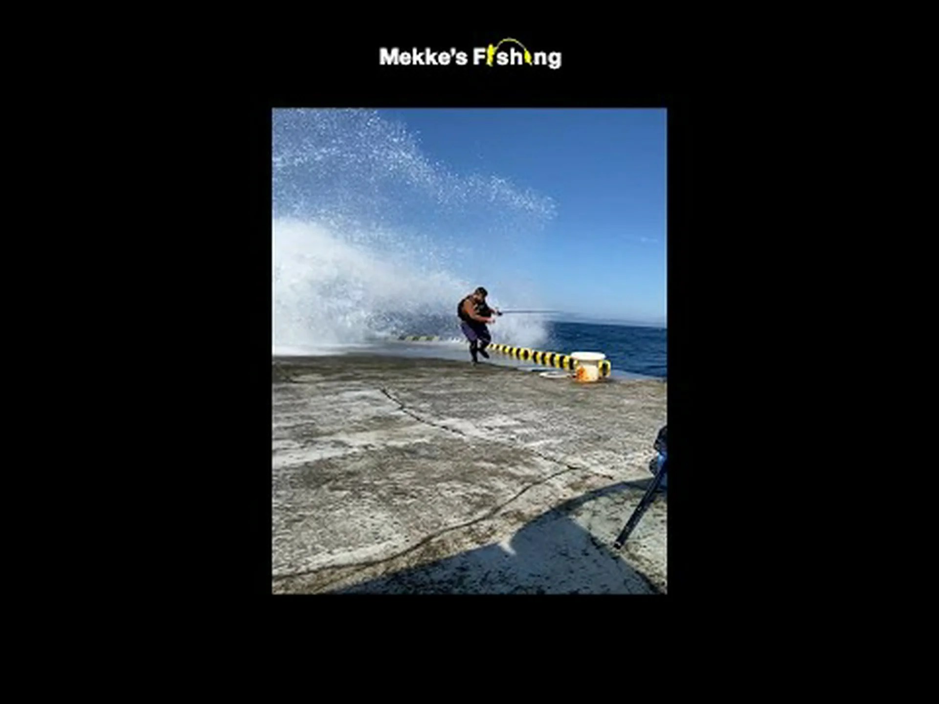 北極のカモメが水銀中毒? 北極のカモメが水銀中毒?