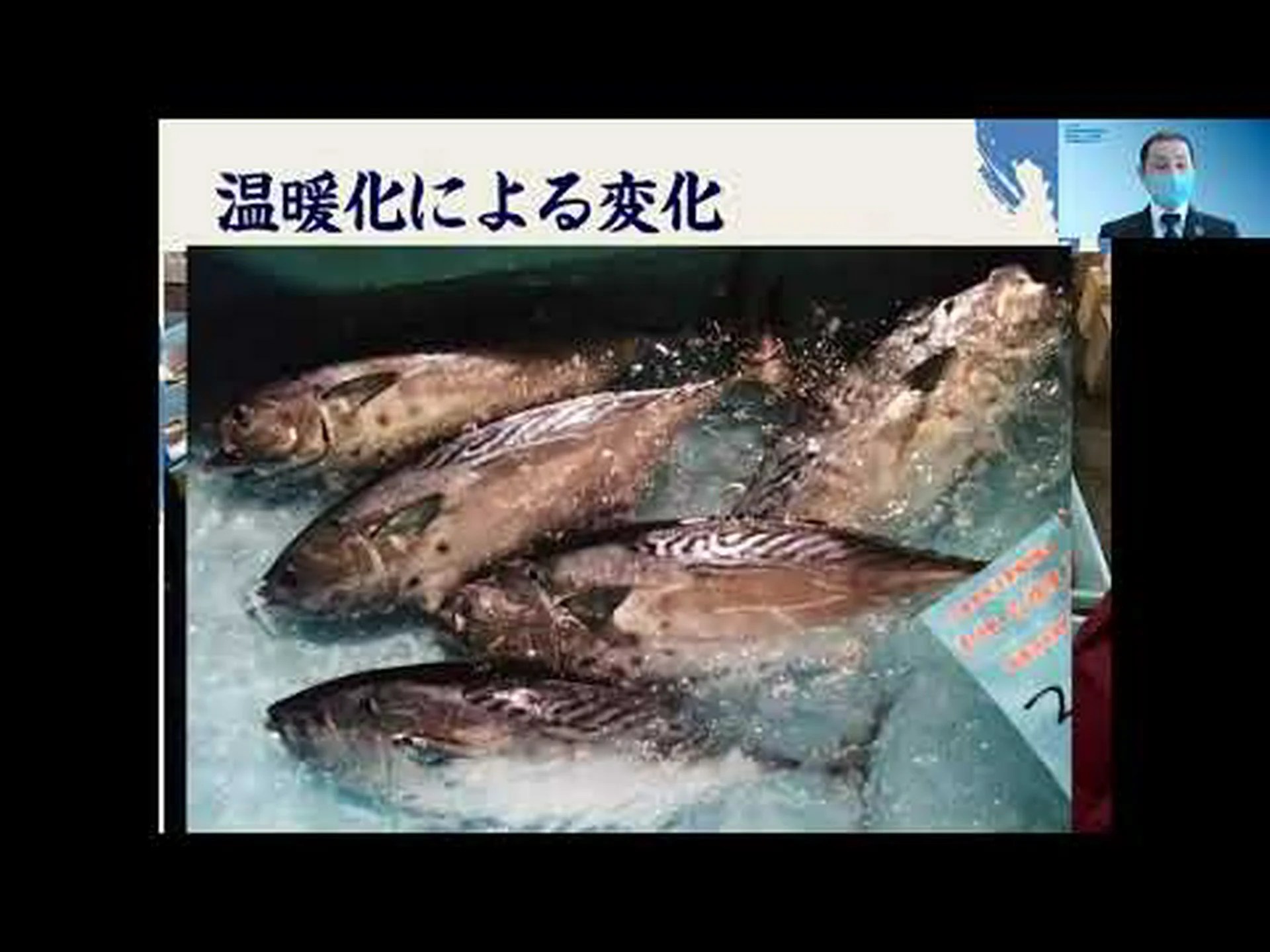 気候変動のせいで魚中の水銀が増加? 気候変動のせいで魚中の水銀が増加?