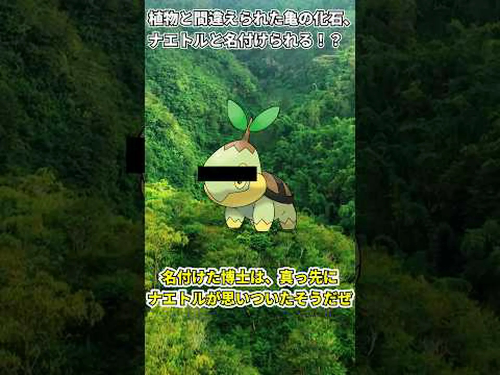 「植物の化石」はカメの赤ちゃんであることが判明 「植物の化石」はカメの赤ちゃんであることが判明