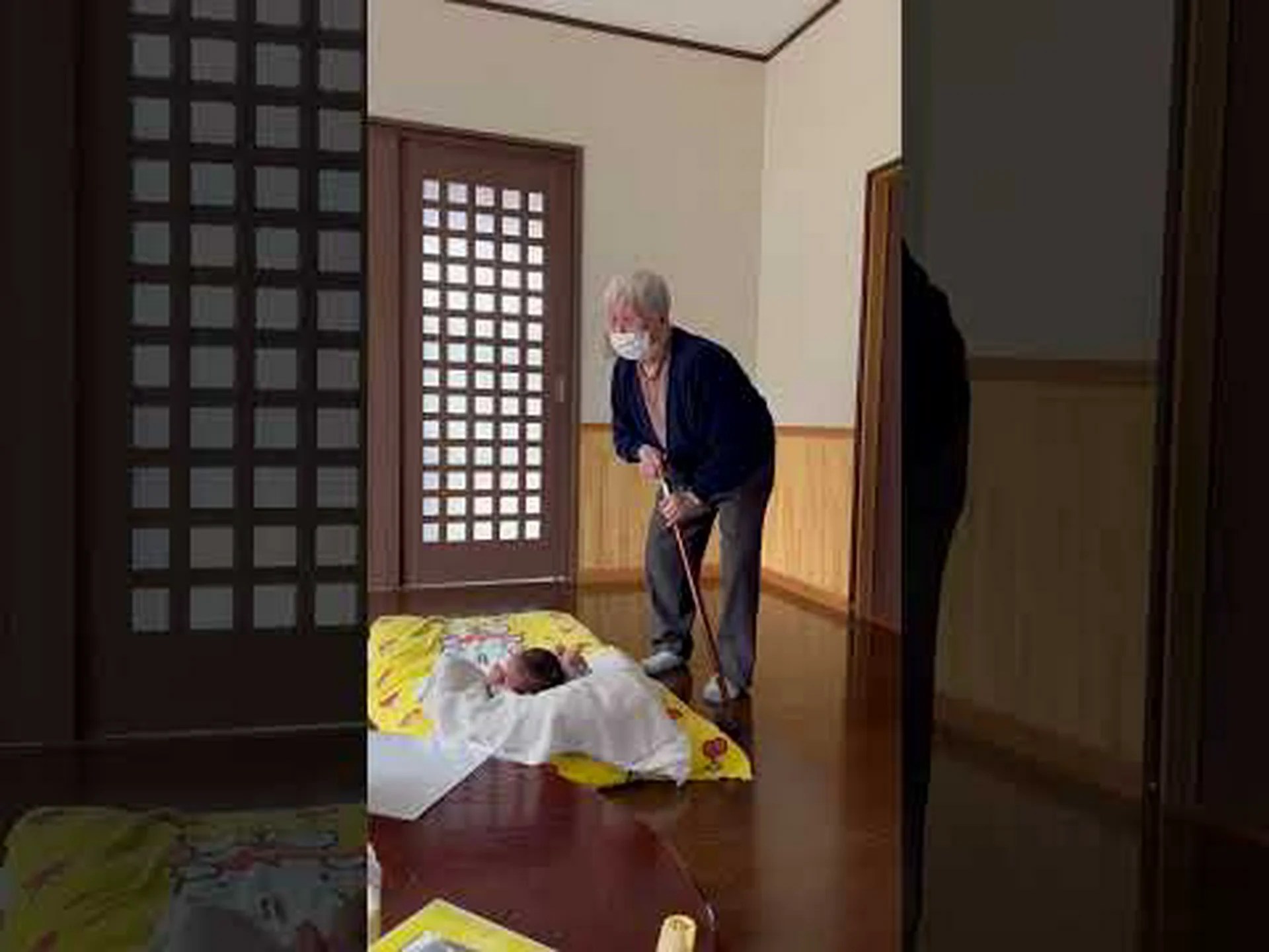 ペンギンは昼寝から目覚めるのが難しい ペンギンは昼寝から目覚めるのが難しい