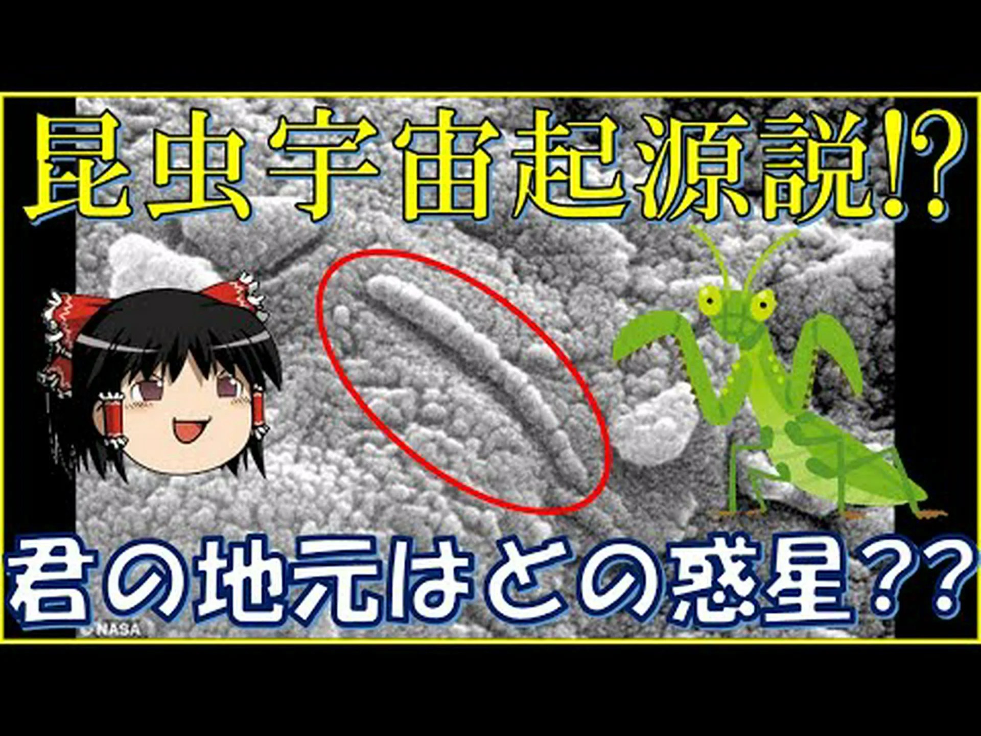頑固な微生物の痕跡 頑固な微生物の痕跡