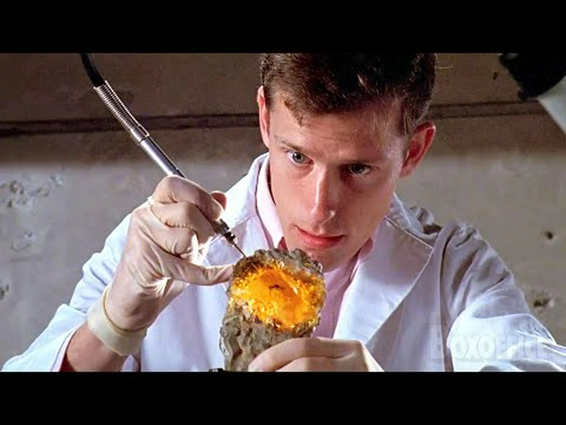 恐竜時代のダニ琥珀 恐竜時代のダニ琥珀