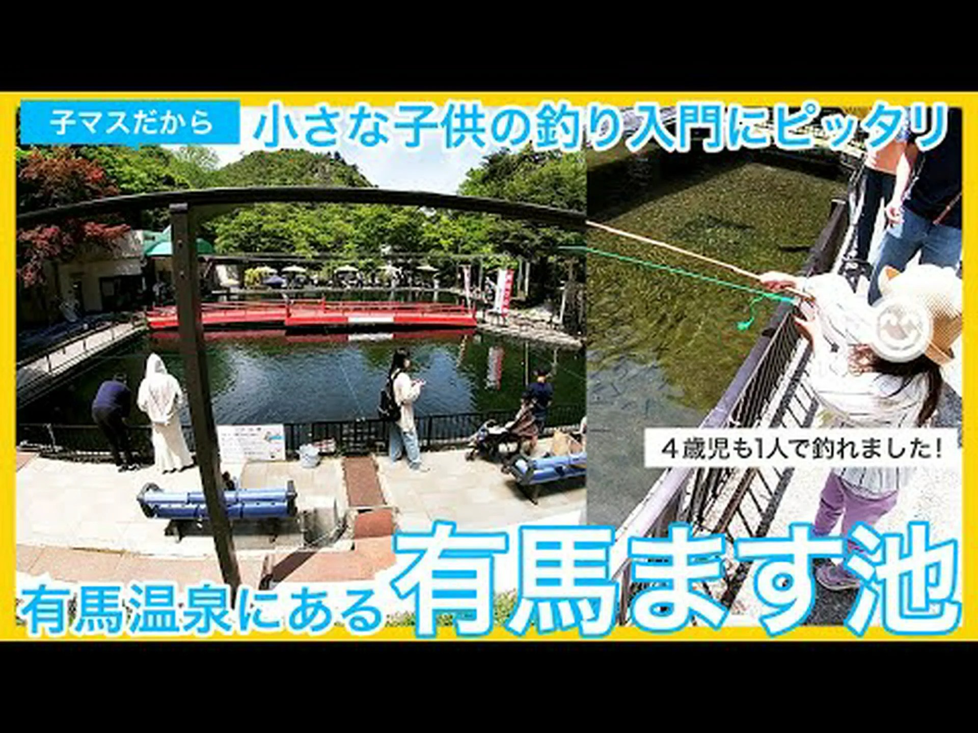 マス池の種類の変化 マス池の種類の変化
