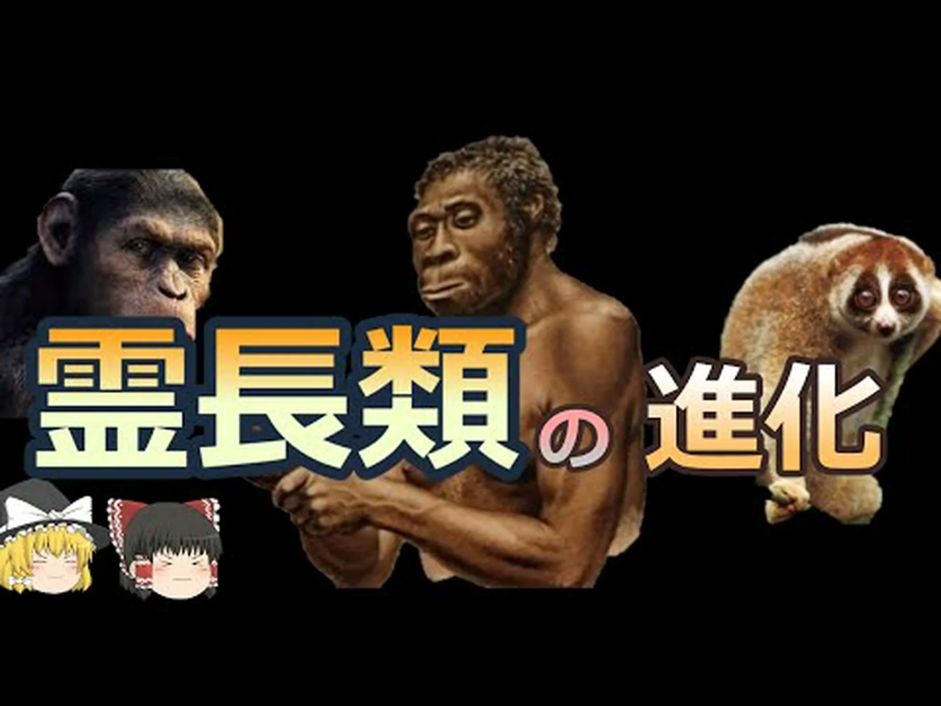 霊長類の居場所はない 霊長類の居場所はない