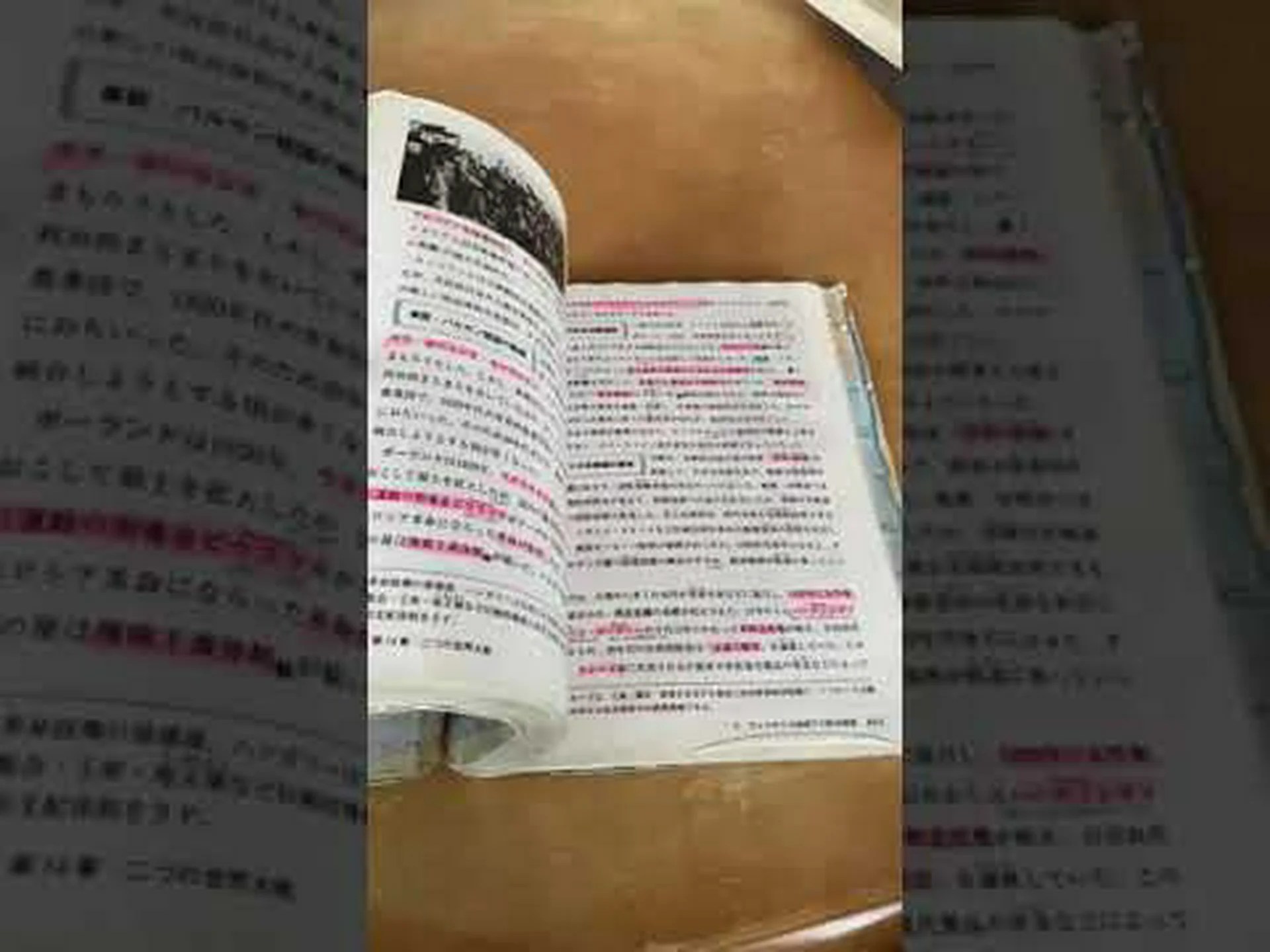 遺伝子の地理 遺伝子の地理