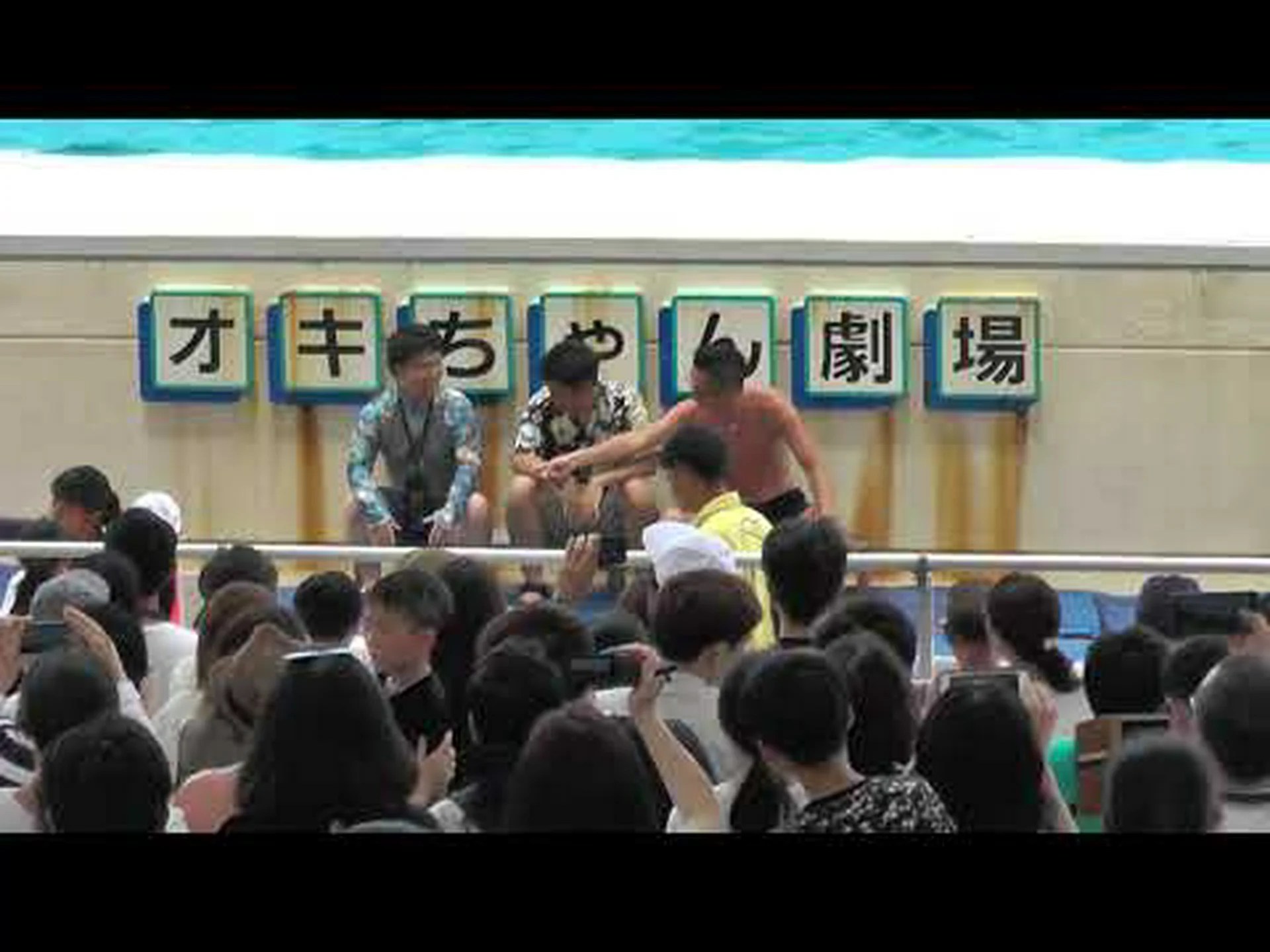 イルカも歓声を上げる イルカも歓声を上げる