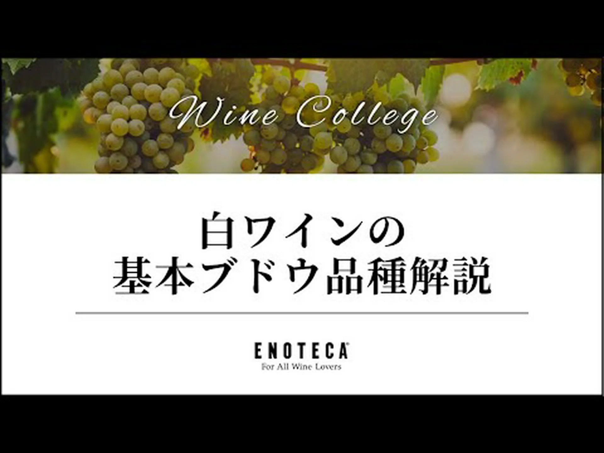 ブドウの皮は白ワインをより健康にします ブドウの皮は白ワインをより健康にします