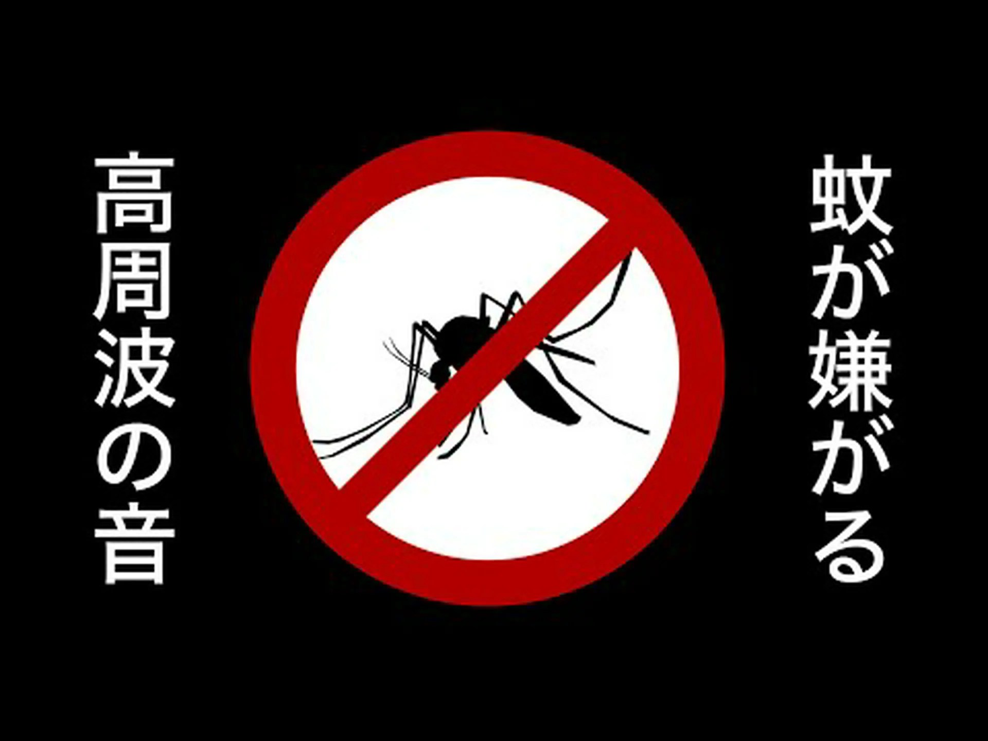 蚊は偏光で飛ぶ 蚊は偏光で飛ぶ