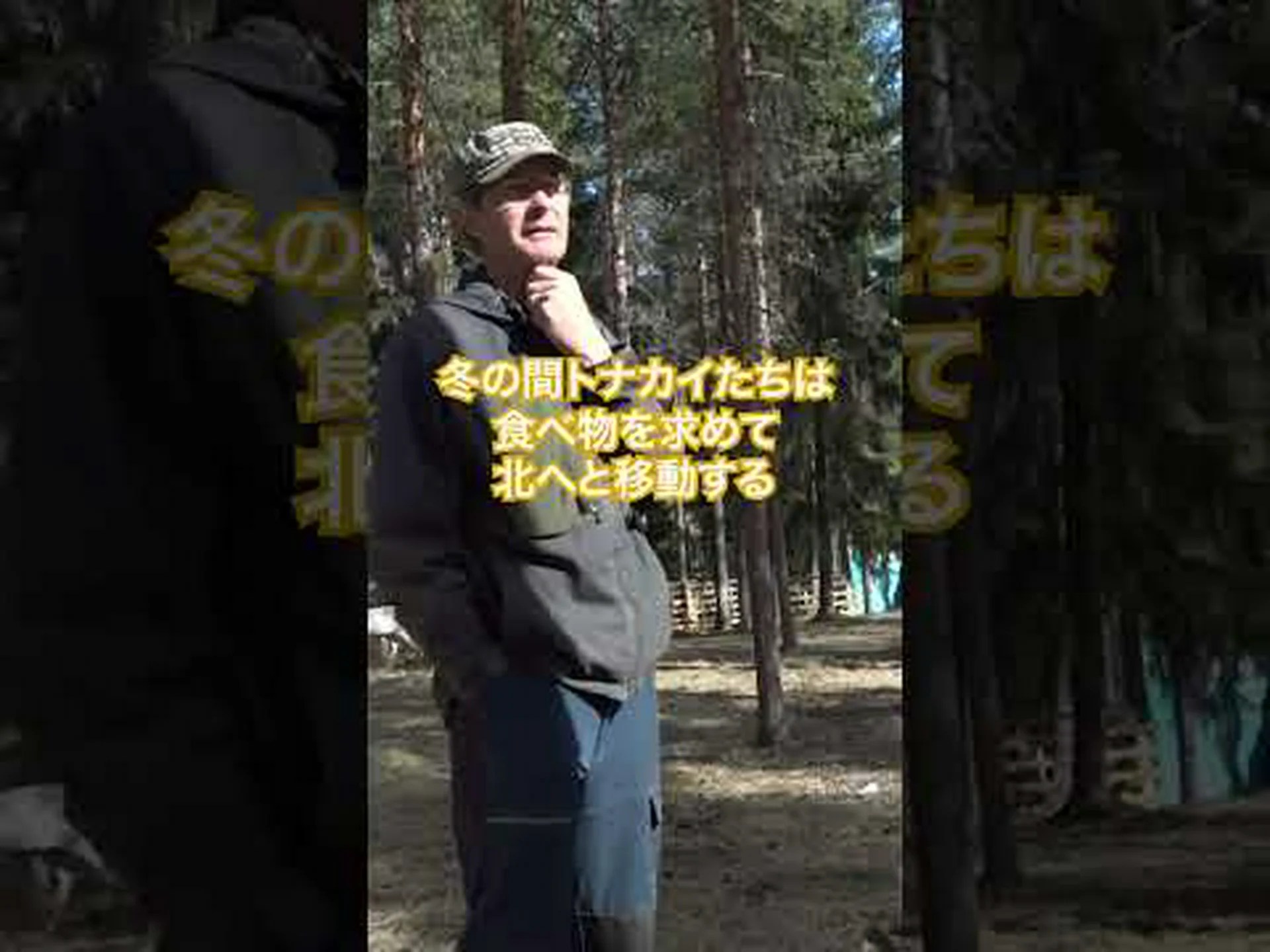 気候変動を助けるトナカイ 気候変動を助けるトナカイ