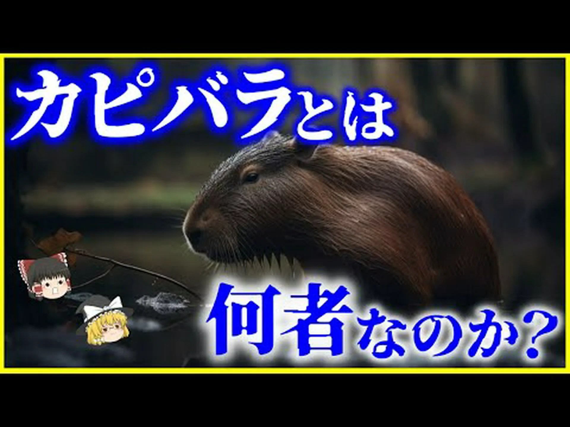 南米初のげっ歯類が大西洋を泳いで横断した 南米初のげっ歯類が大西洋を泳いで横断した