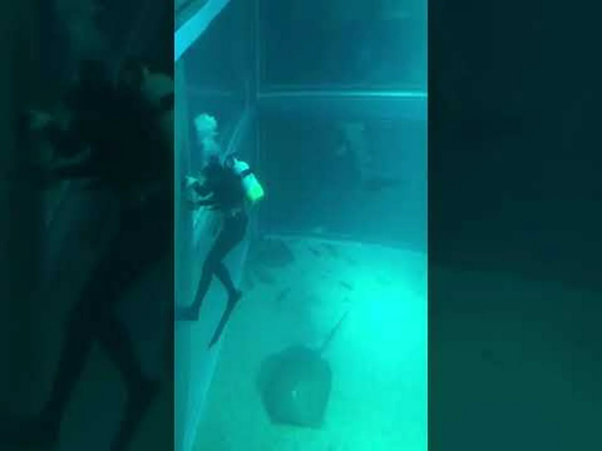 サメが消えていく サメが消えていく