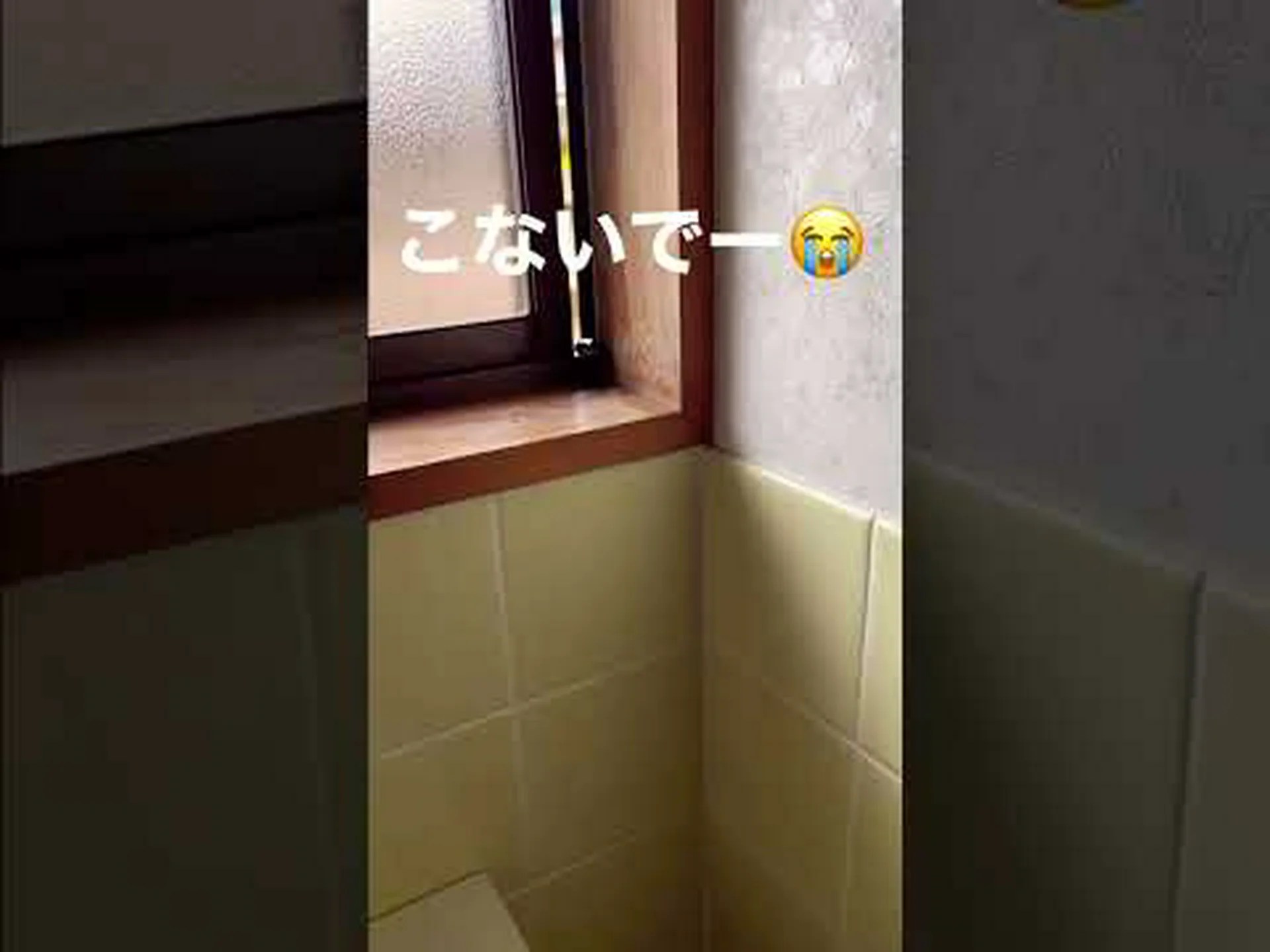 オーデル川での魚の死: 大惨事は繰り返されるのか? オーデル川での魚の死: 大惨事は繰り返されるのか?