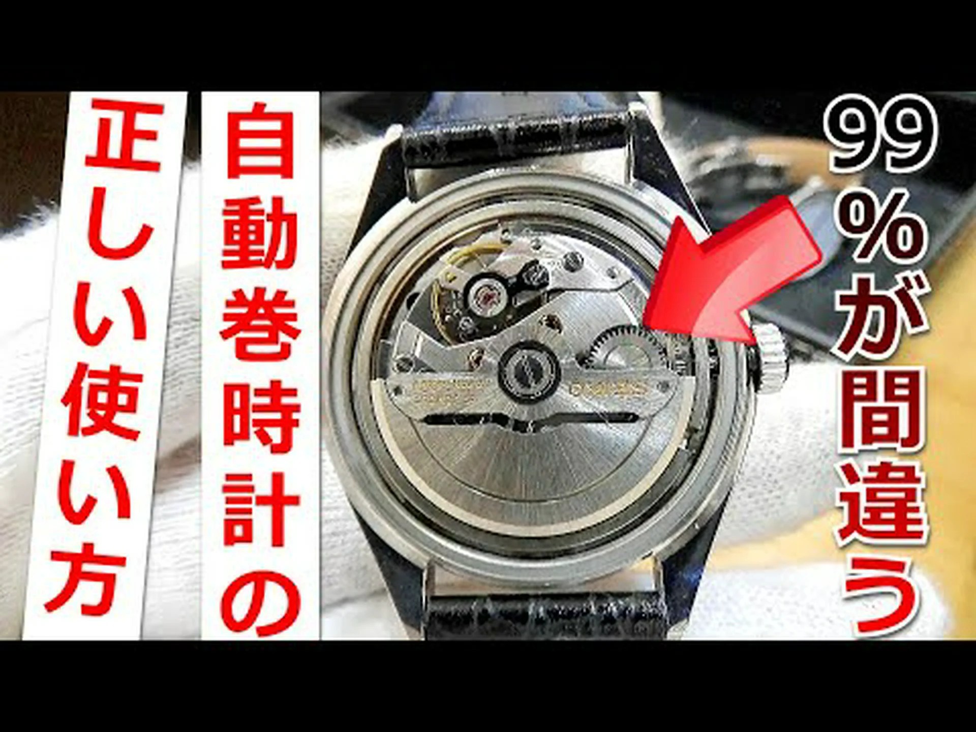 内部時計は何を基準にしているのか 内部時計は何を基準にしているのか