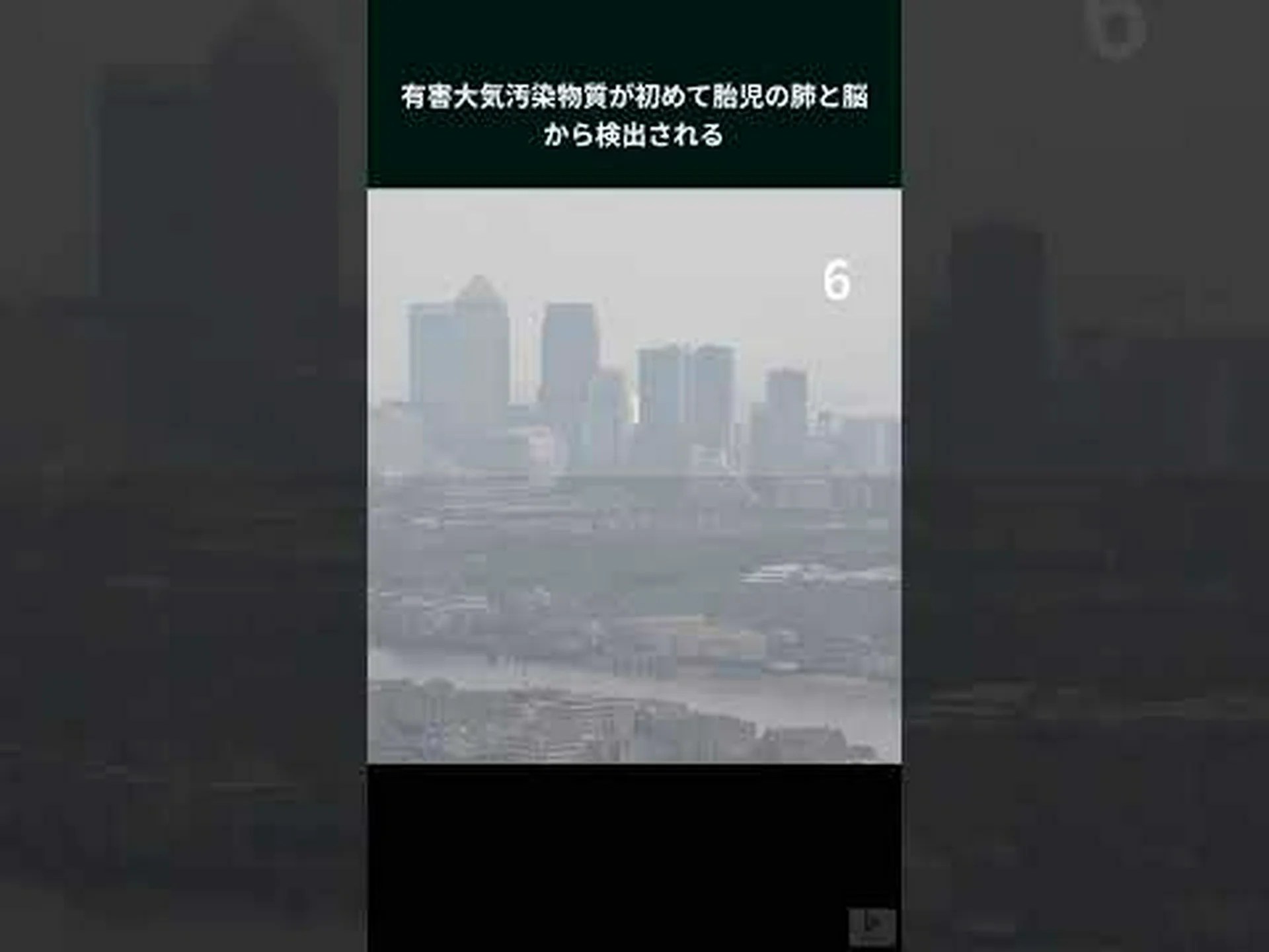 肺はどのようにして汚染物質を検出するのか 肺はどのようにして汚染物質を検出するのか