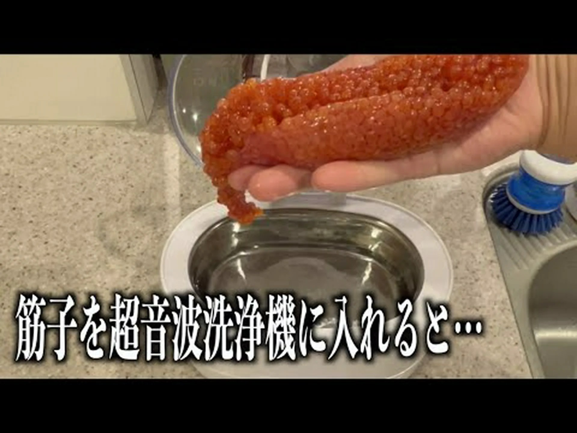 アヒルがムール貝を養殖すべき理由 アヒルがムール貝を養殖すべき理由