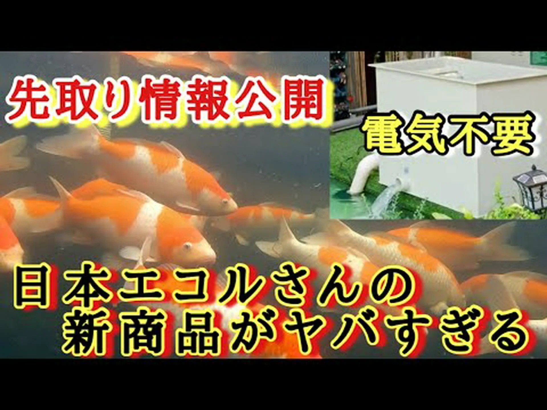 新しい風味増強剤を発見 新しい風味増強剤を発見