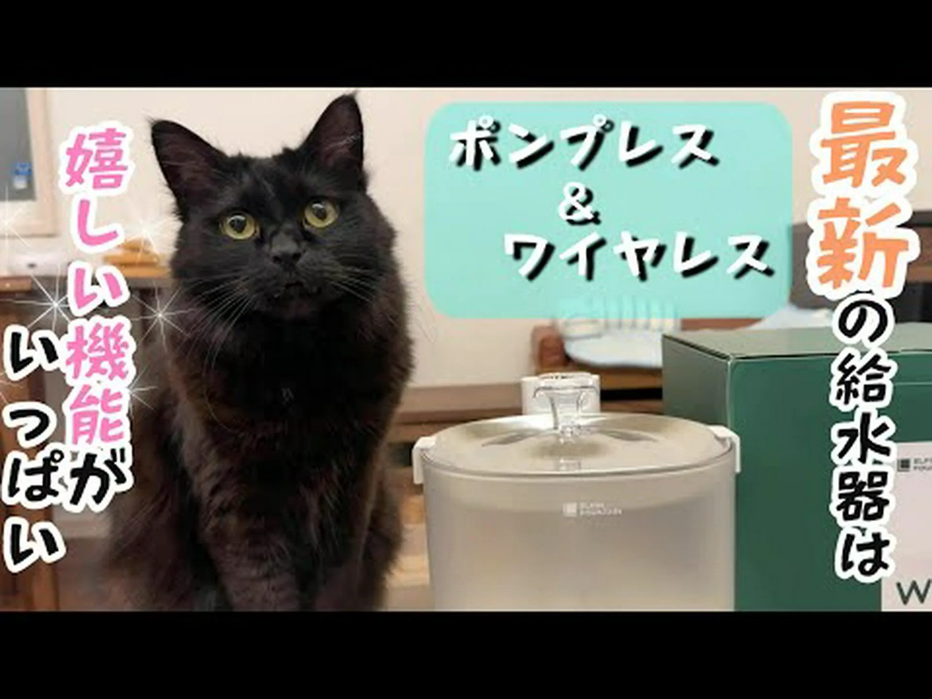 最適な給水 最適な給水