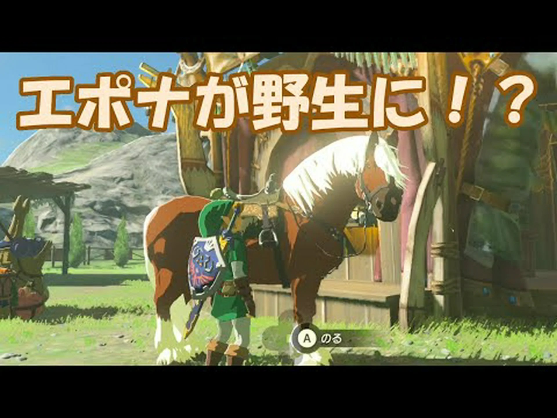 野生の馬:色を変えて生き残る? 野生の馬:色を変えて生き残る?