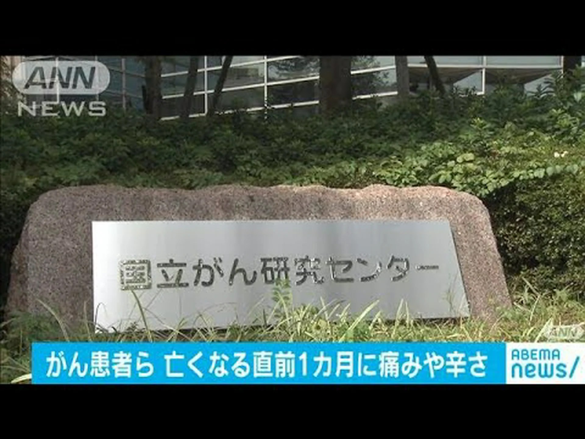全身に痛みがある患者はがんで死亡する可能性が高い 全身に痛みがある患者はがんで死亡する可能性が高い