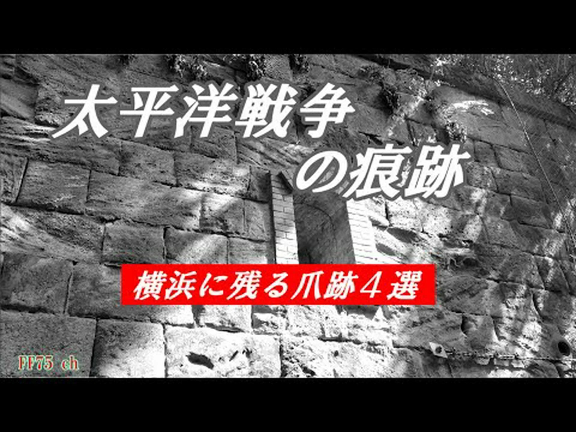 脳に残る戦争の痕跡 脳に残る戦争の痕跡