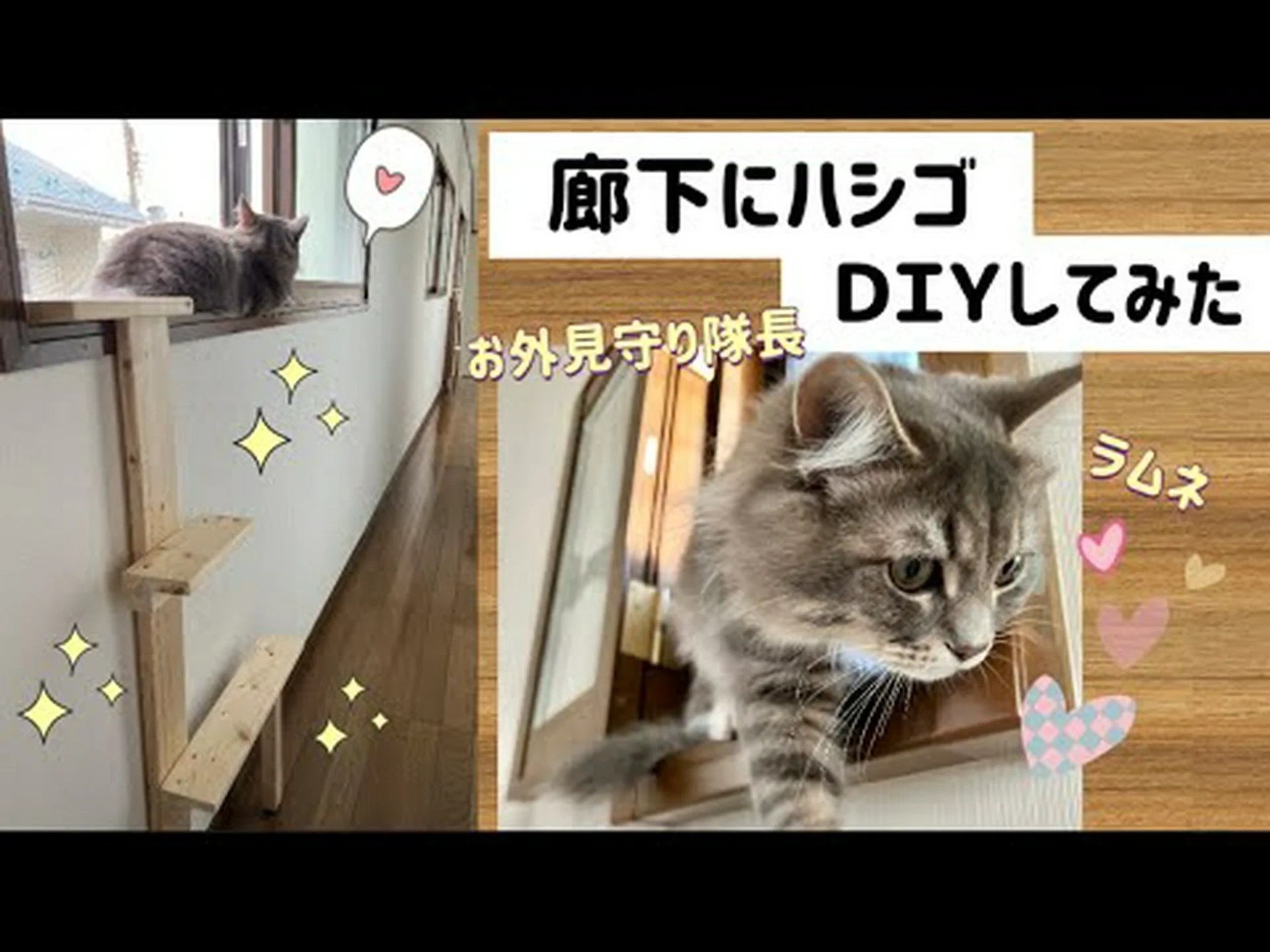 猫用の廊下 猫用の廊下