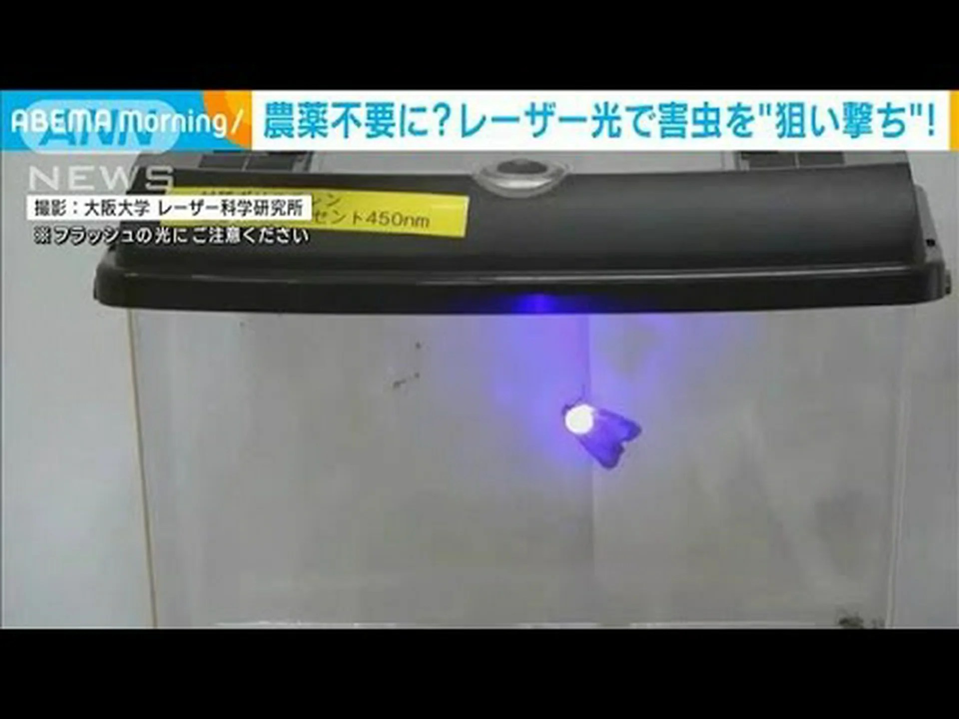 レーザーでハエが飛ぶ レーザーでハエが飛ぶ