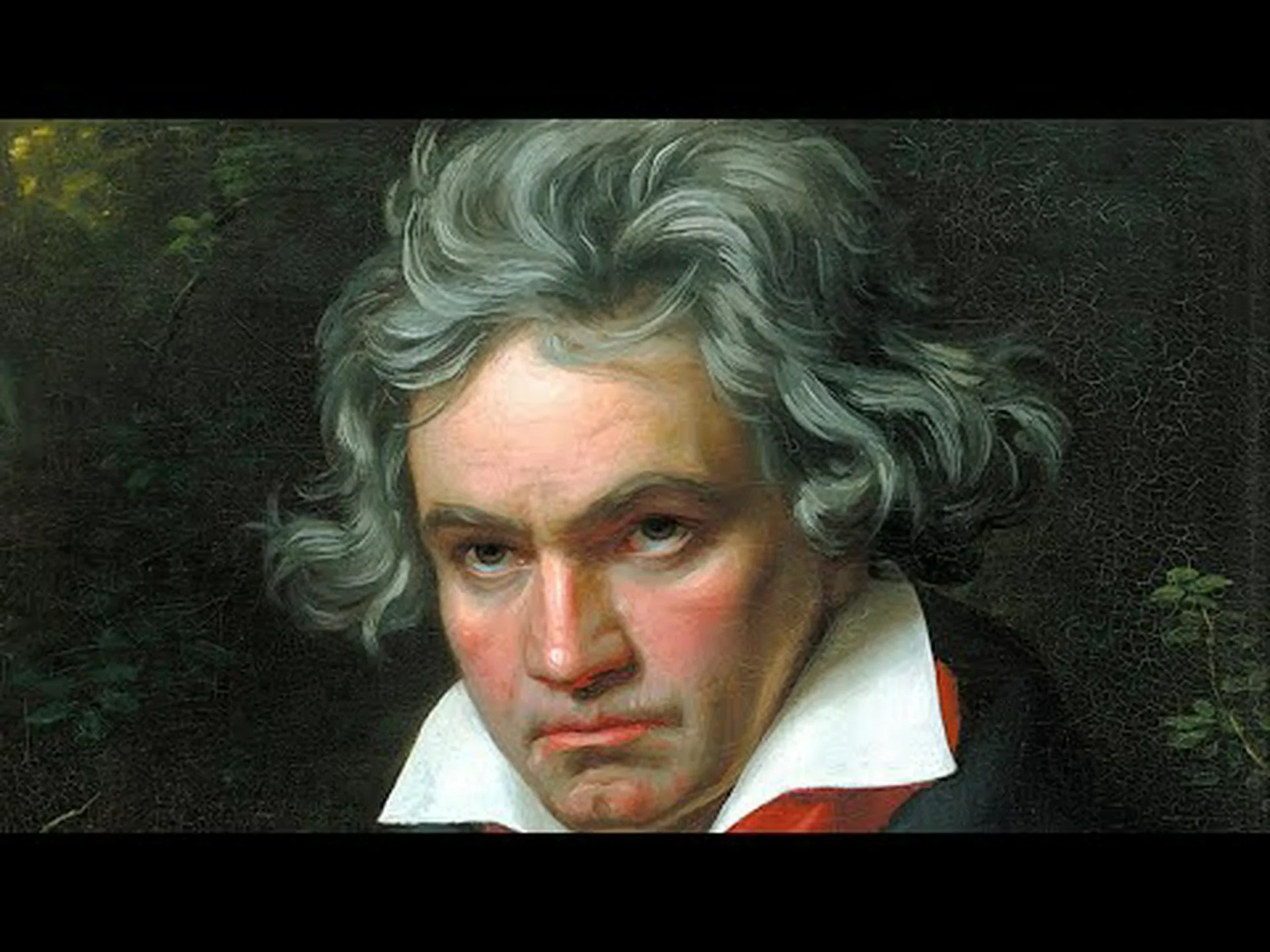 鉛はどのようにしてベートーベンの髪に入り込んだのか 鉛はどのようにしてベートーベンの髪に入り込んだのか