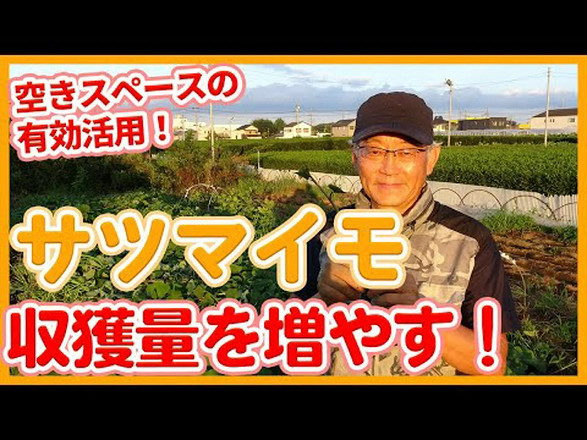 収穫量を増やす新しい方法? 収穫量を増やす新しい方法?