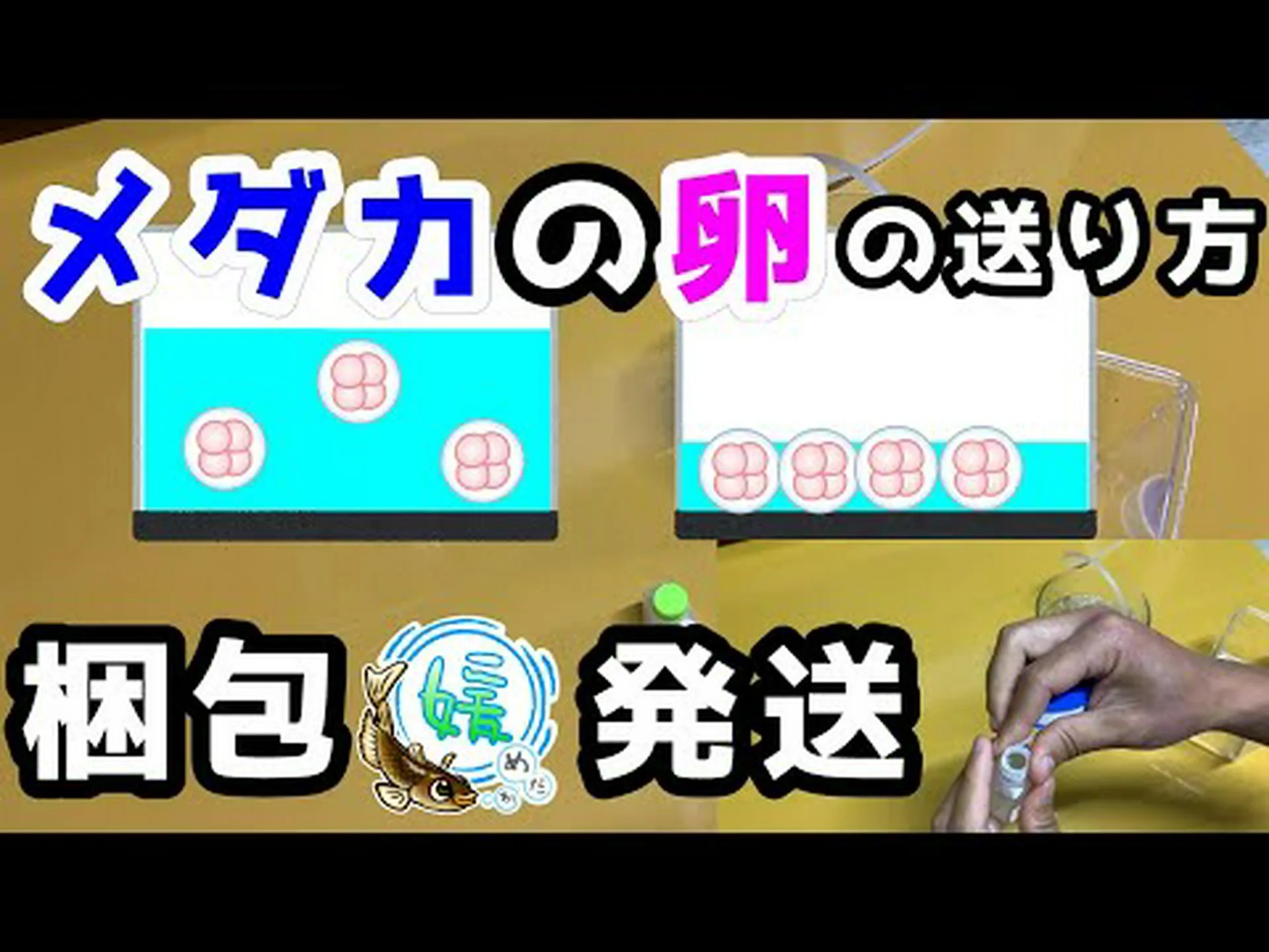 しっかりと梱包されています しっかりと梱包されています