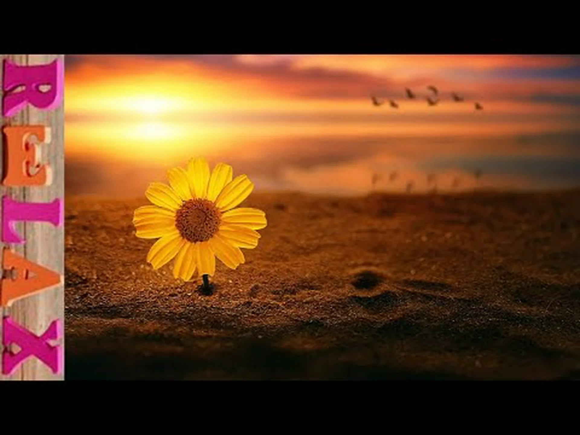 音楽を聴くと酔いが早くなる 音楽を聴くと酔いが早くなる