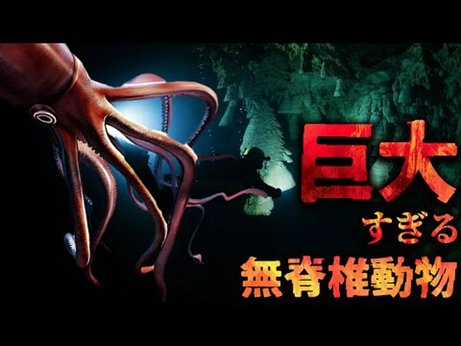 脊椎動物のカゲロウ 脊椎動物のカゲロウ