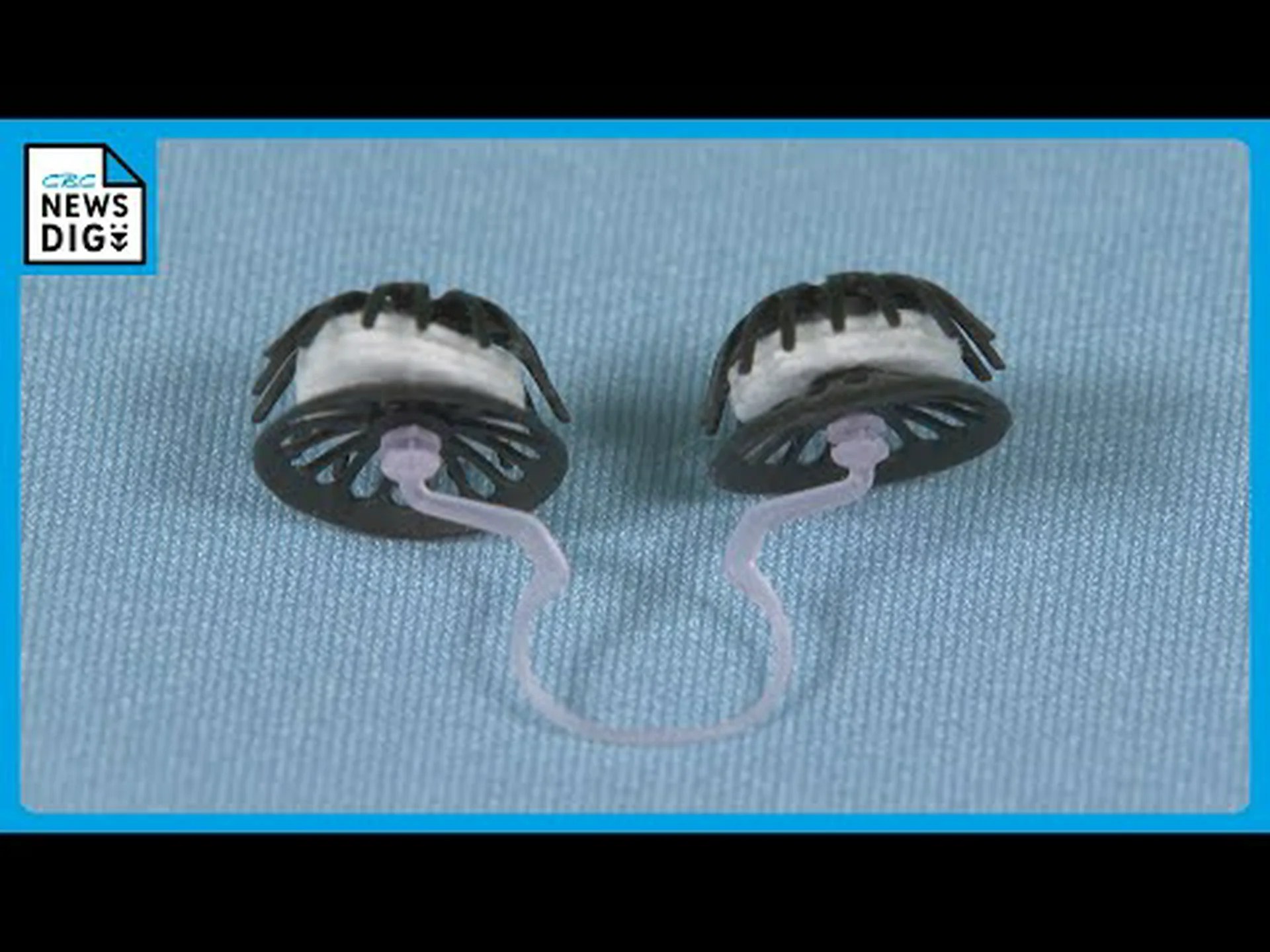 鼻フィルターは花粉症を防ぐためのものです 鼻フィルターは花粉症を防ぐためのものです