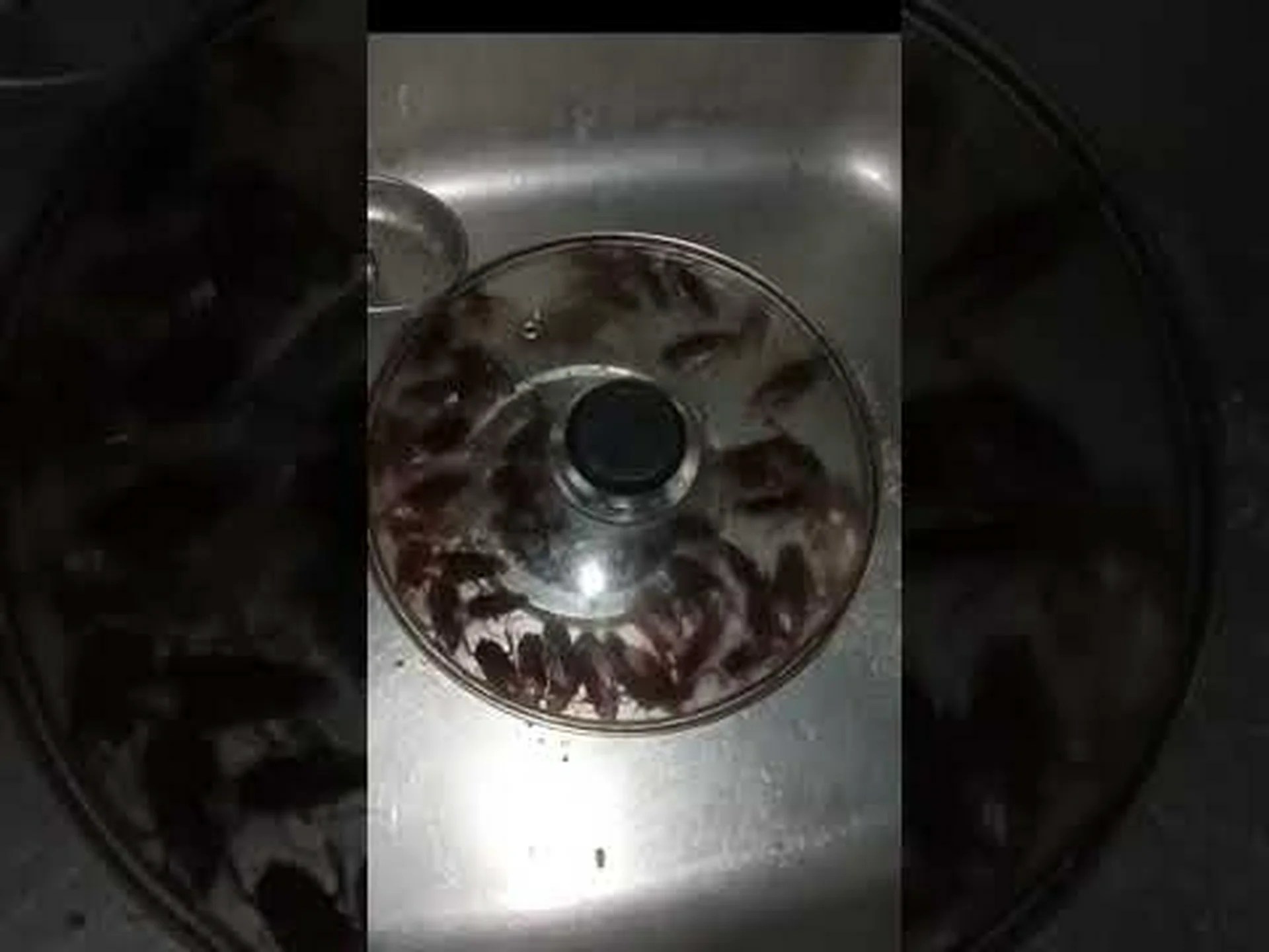 昆虫警察が州の避妊を実施 昆虫警察が州の避妊を実施