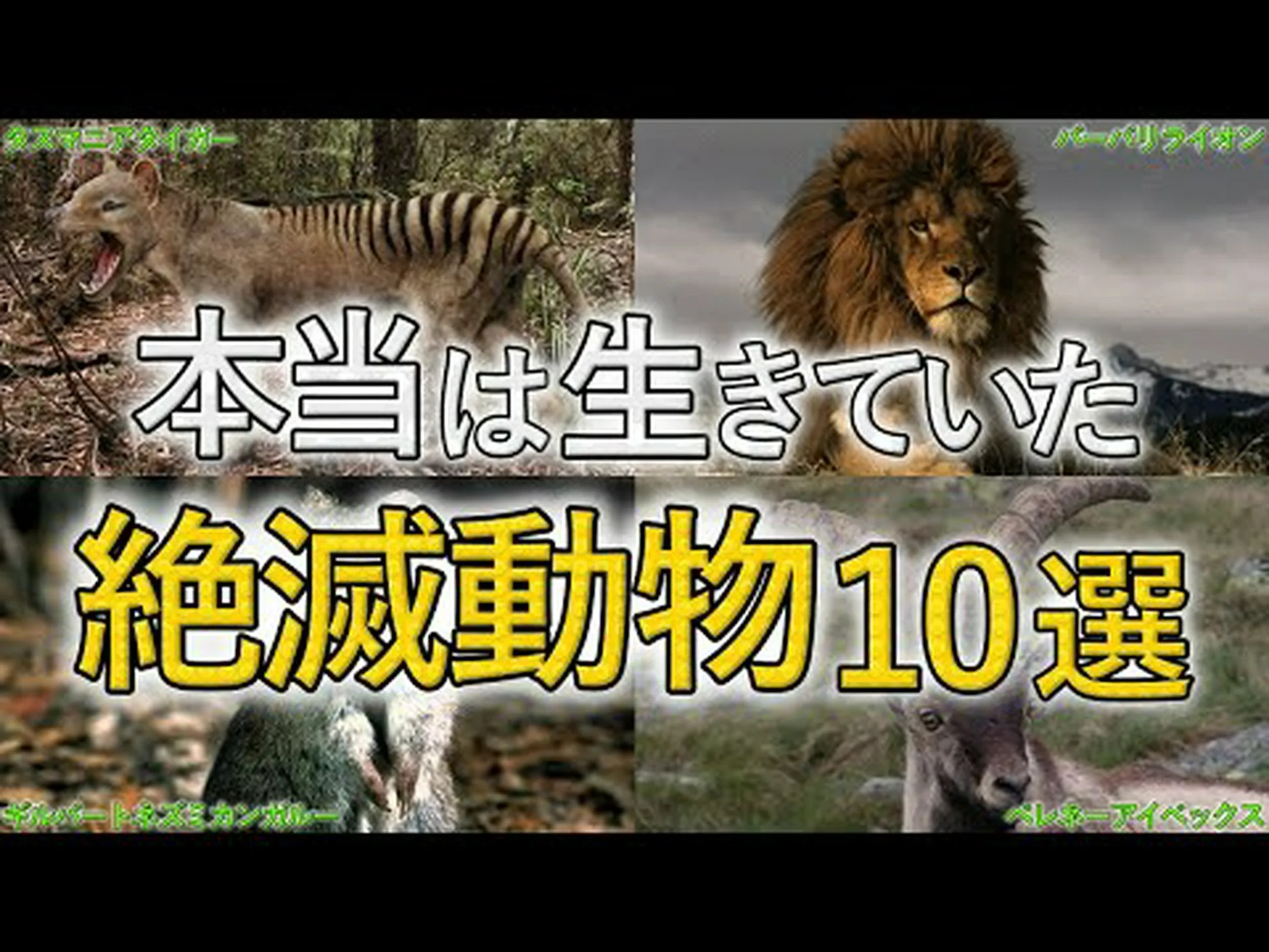 全鳥種の12パーセントが絶滅の危機に瀕している 全鳥種の12パーセントが絶滅の危機に瀕している
