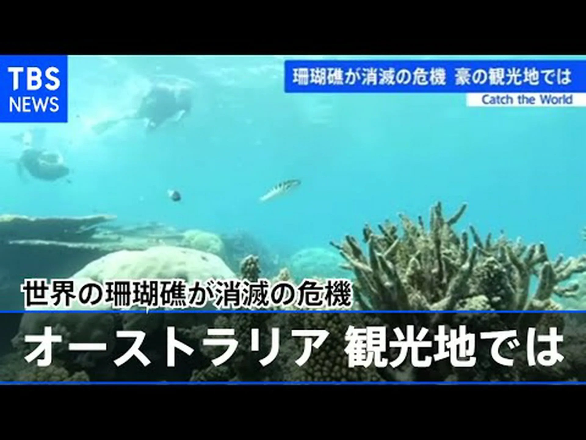 オーストラリアの洪水でグレートバリアリーフが危険にさらされる オーストラリアの洪水でグレートバリアリーフが危険にさらされる