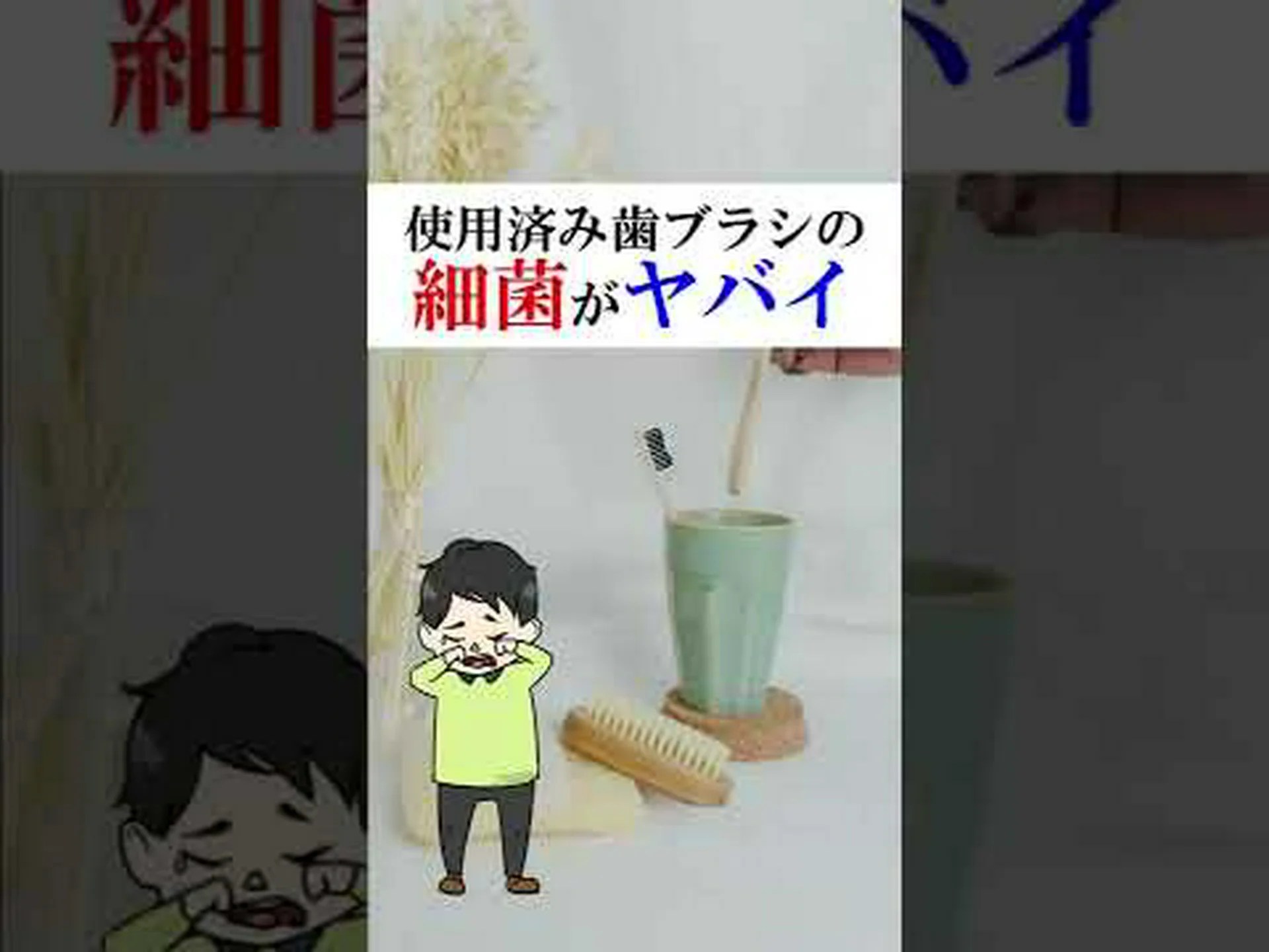 歯ブラシの細菌 歯ブラシの細菌