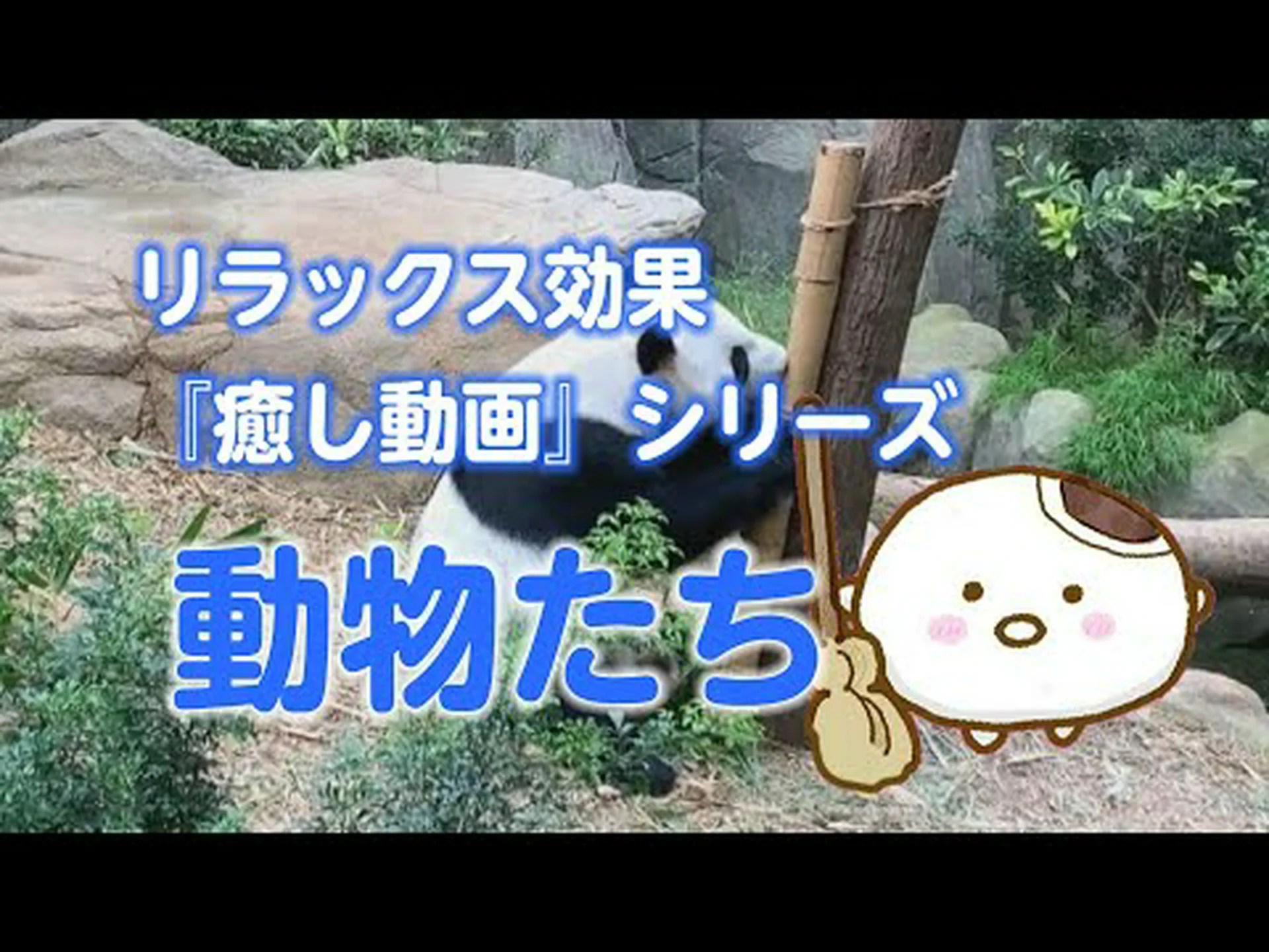 動物が癒されるとき 動物が癒されるとき