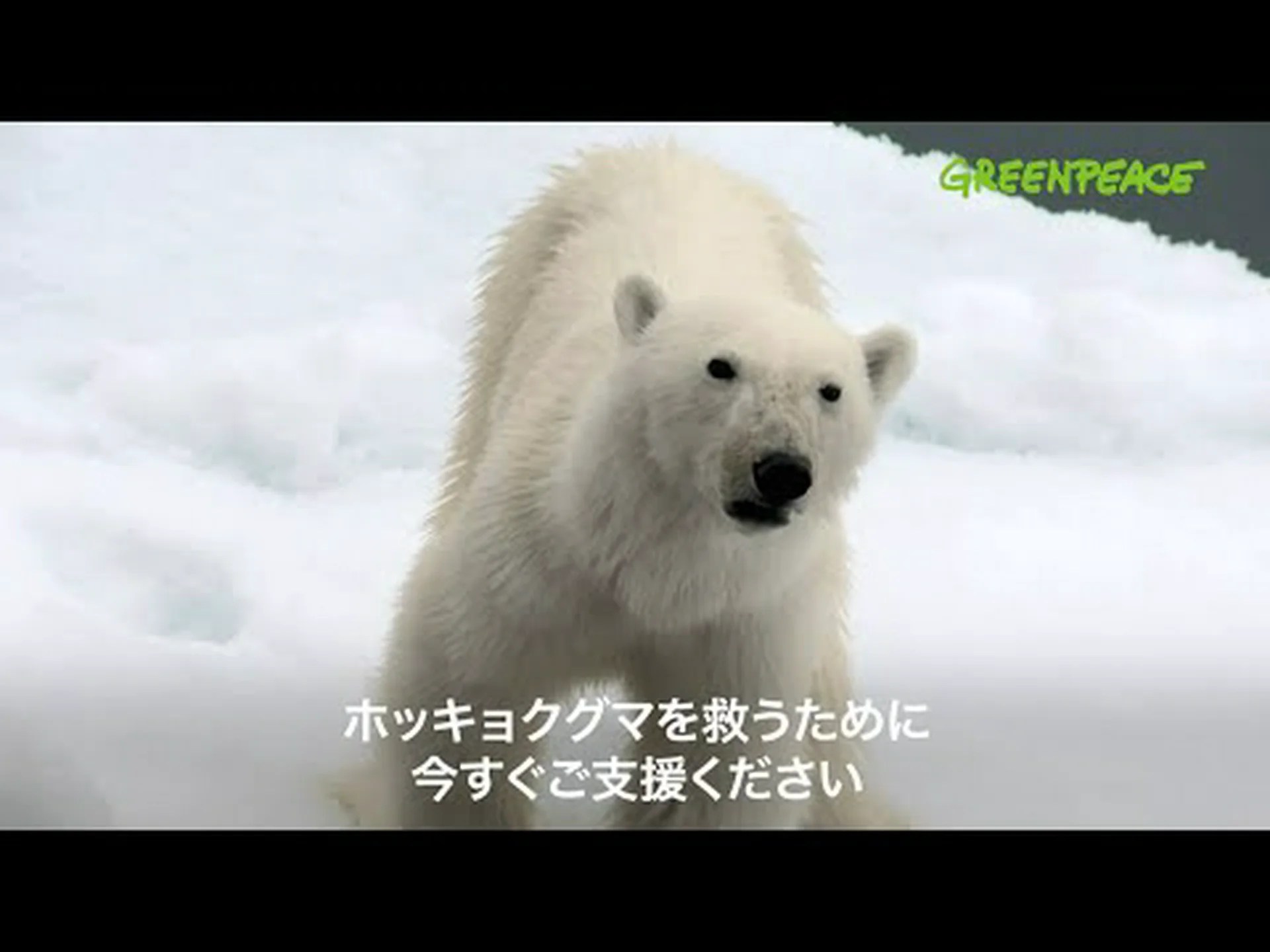 脅かされる「海氷保護区」 脅かされる「海氷保護区」